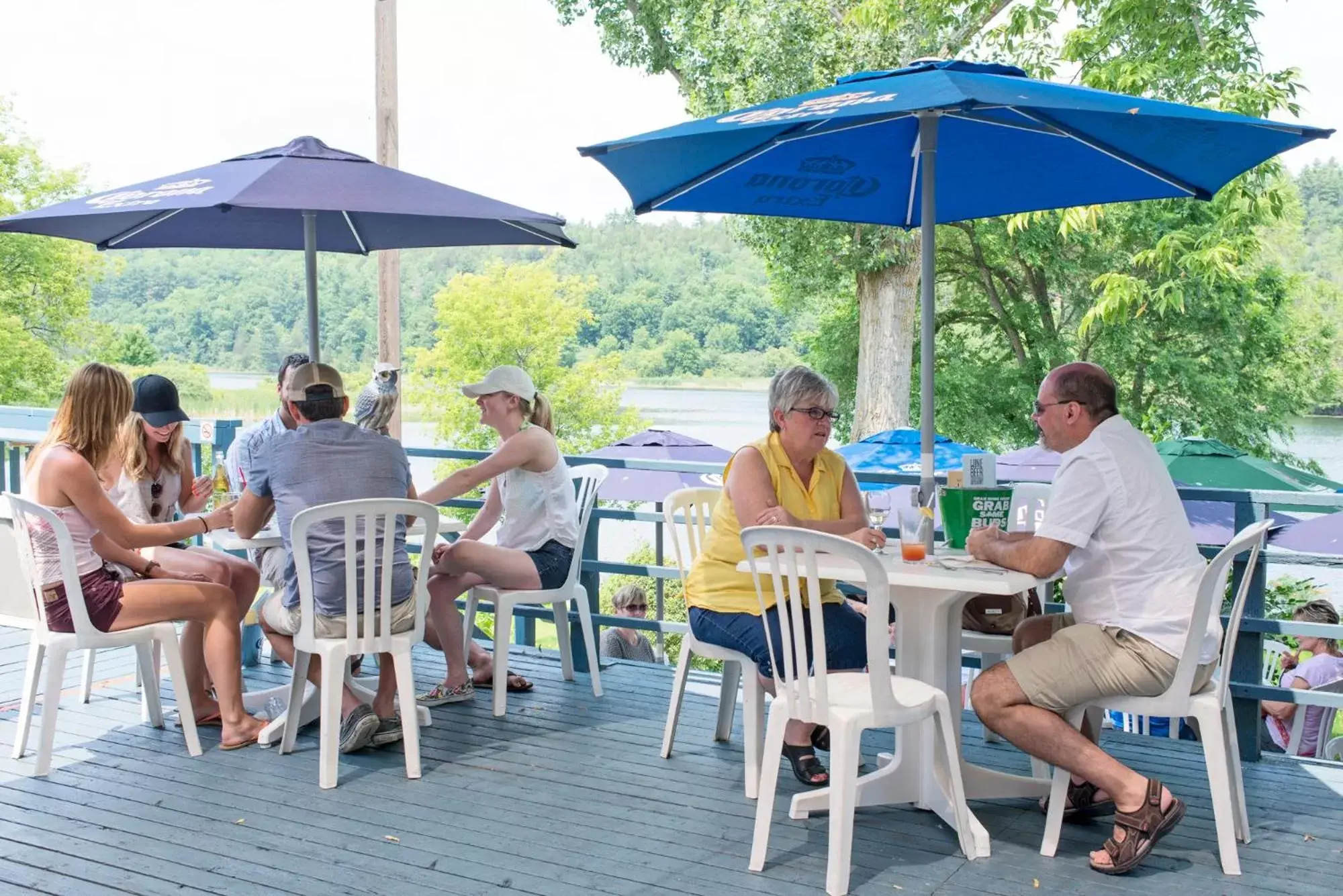 Balcony/Terrace in The Cove Inn