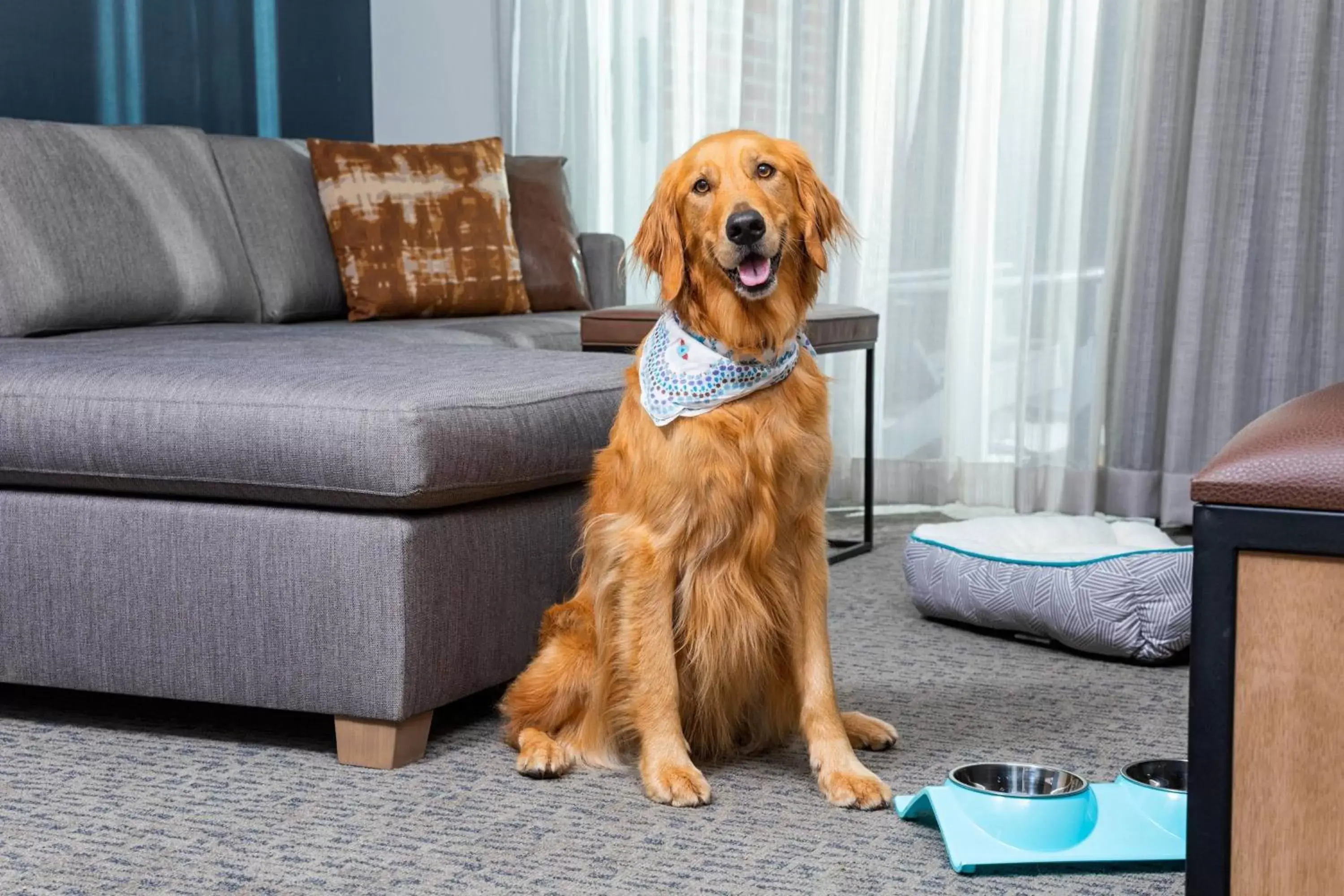 Property building, Pets in Residence Inn by Marriott Big Sky/The Wilson Hotel