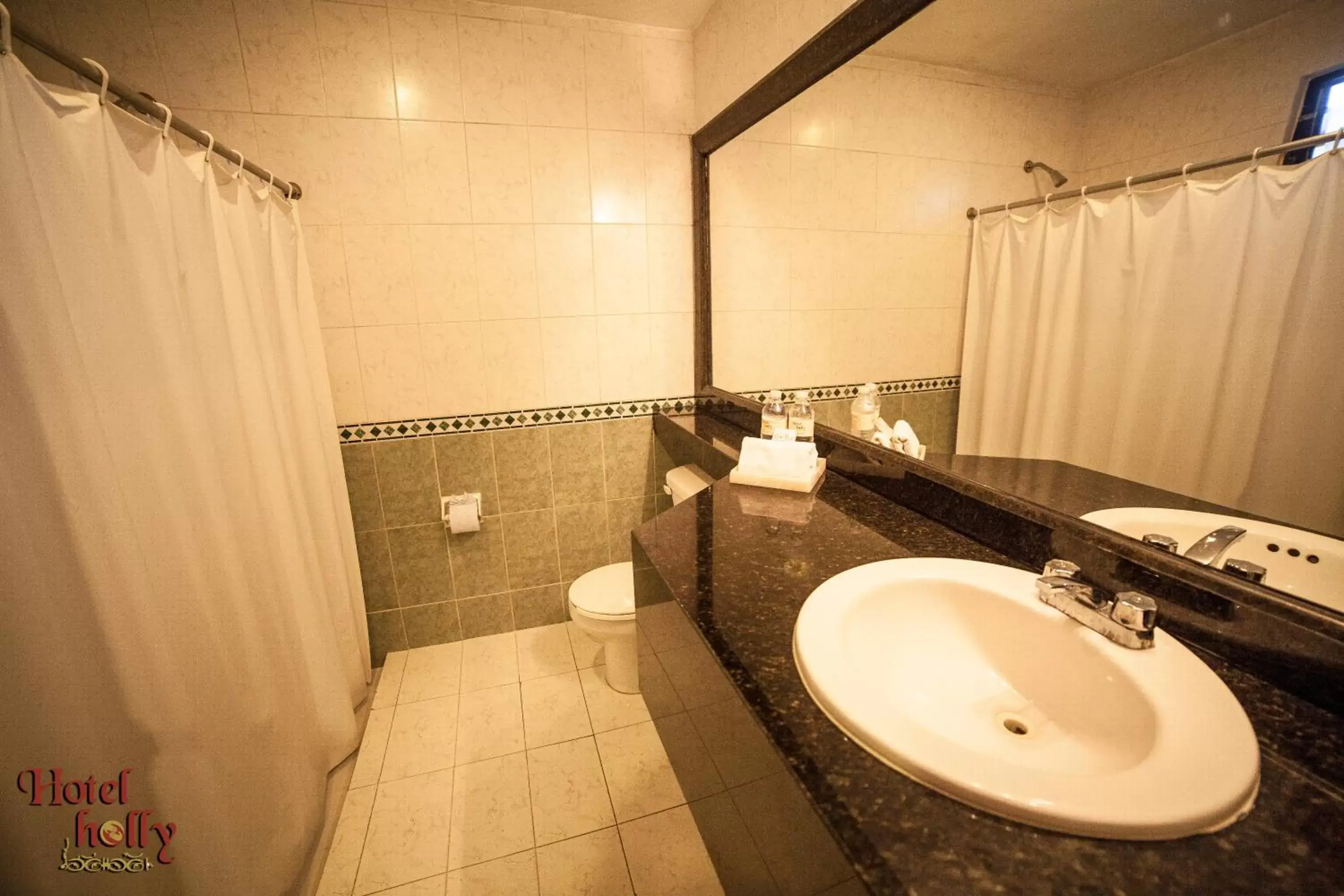 Toilet, Bathroom in Hotel Holly