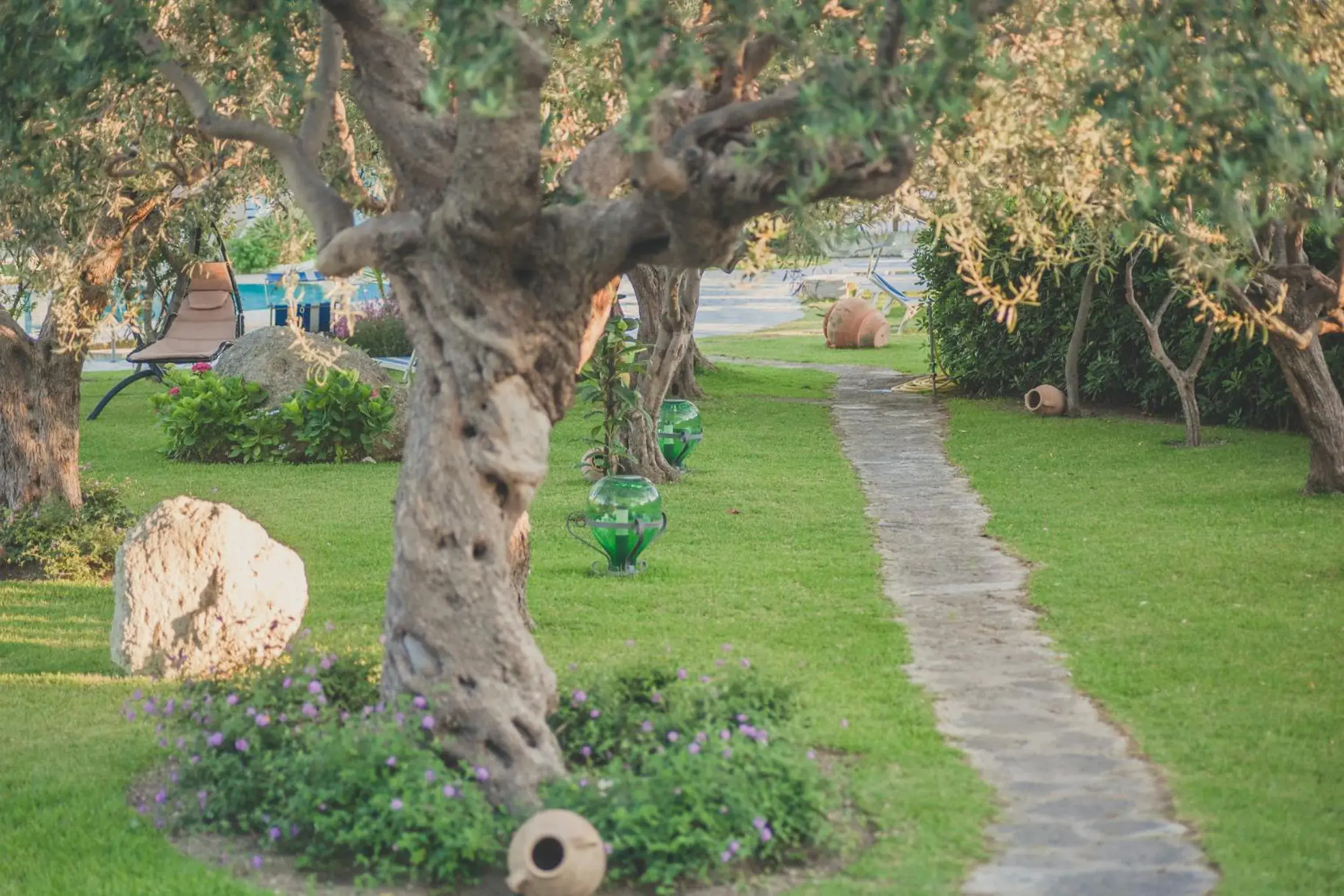 Garden in Hotel Ideal