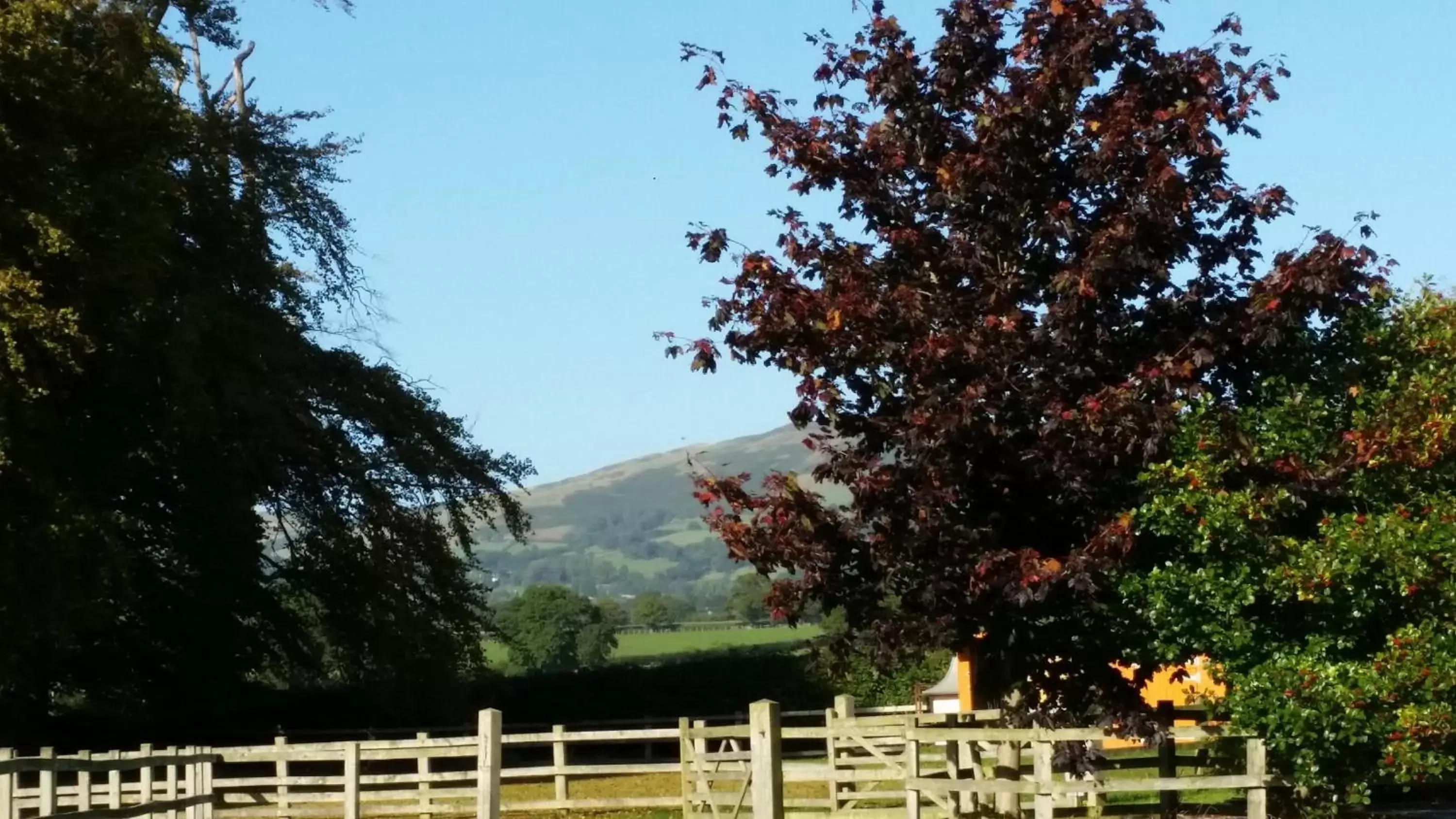 Mountain View in Ty Derw Country House B&B