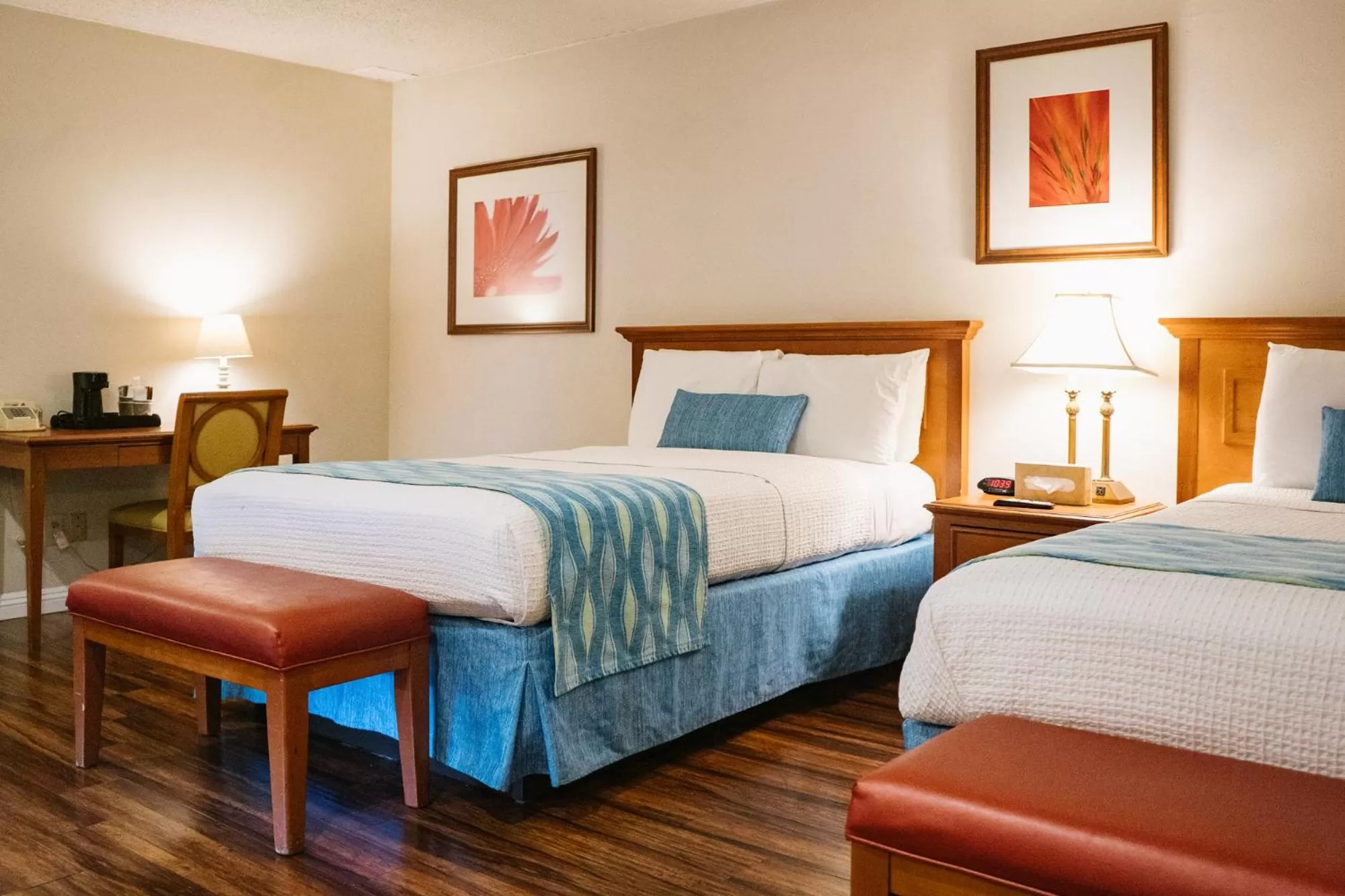 Bedroom, Bed in Alamo Inn and Suites - Convention Center