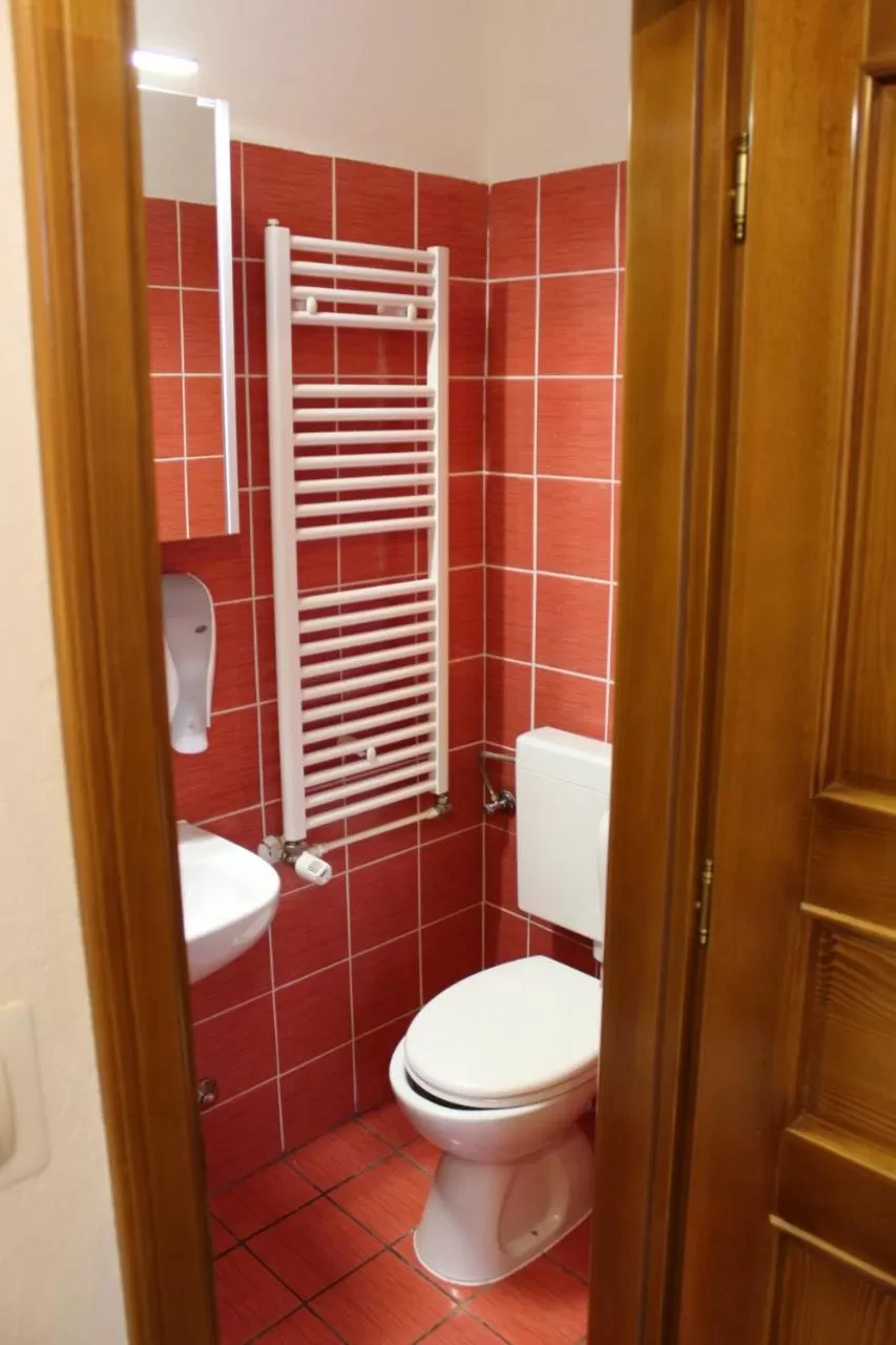 Toilet in Wellness B&B Winery Sontacchi