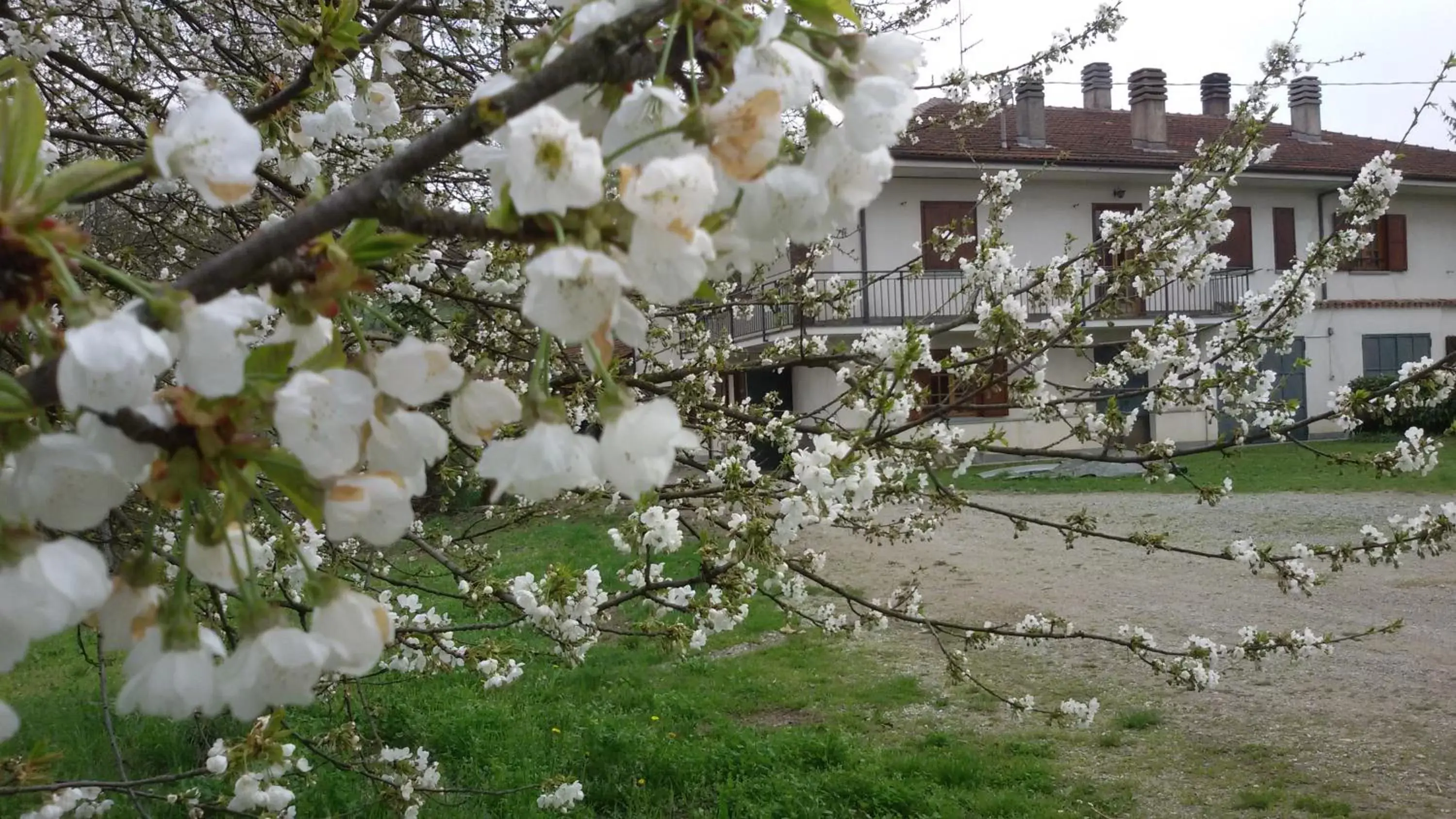 Property building in Cascina Torello