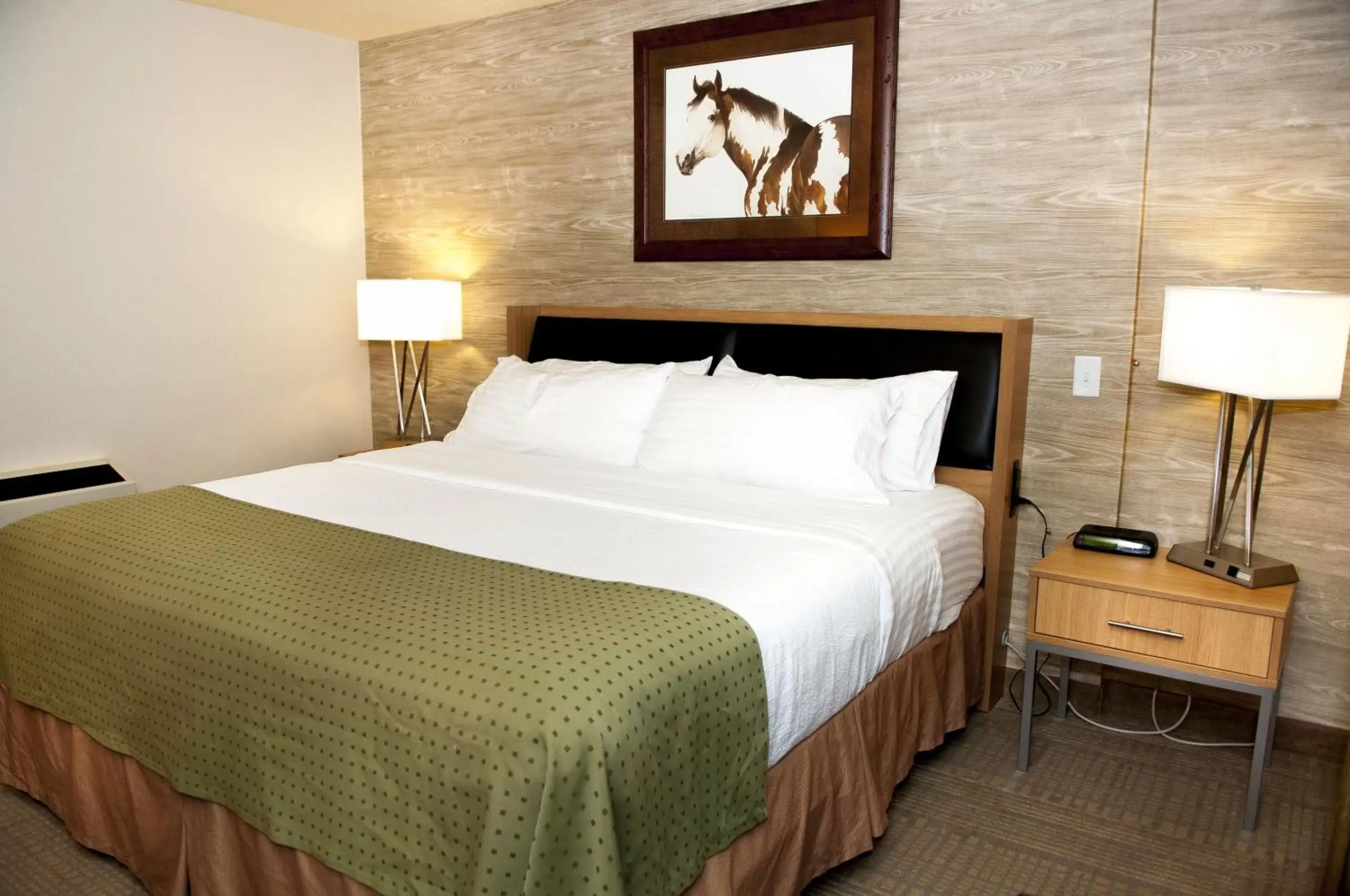 King Room - Non-Smoking in Holiday Inn Spearfish-Convention Center, an IHG Hotel