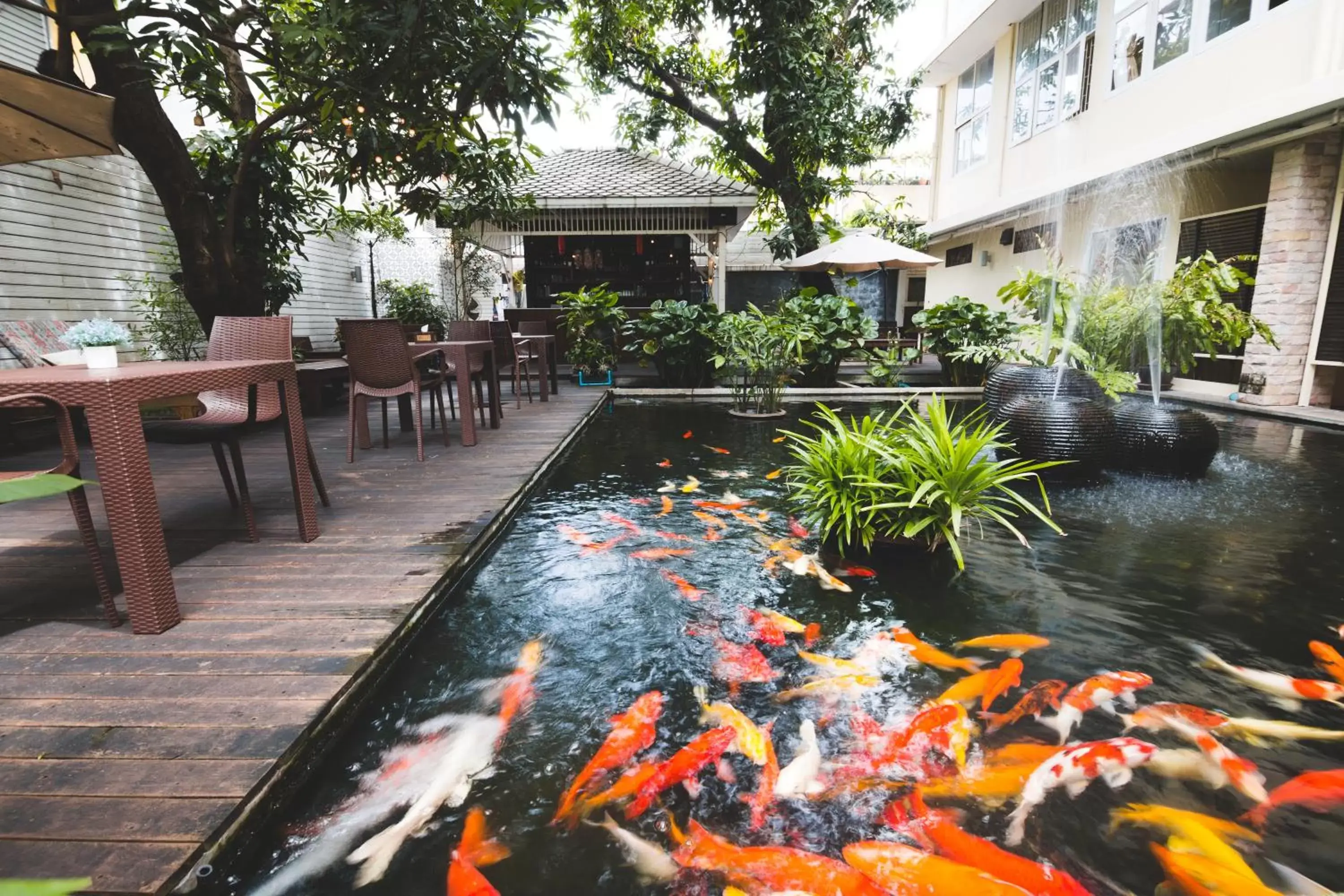 Garden in Feung Nakorn Balcony Rooms and Cafe