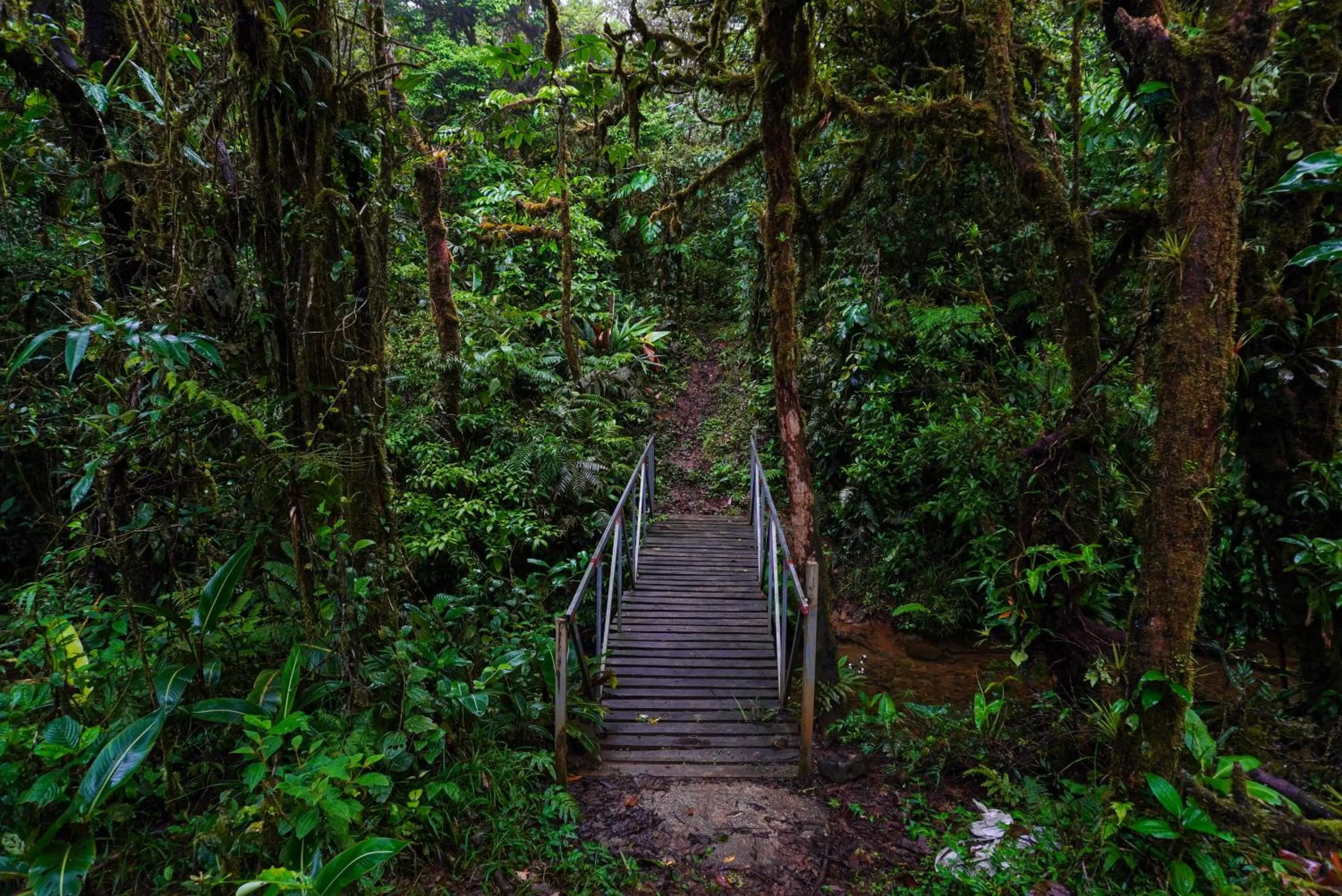 Nearby landmark in Hotel Puerto San Luis