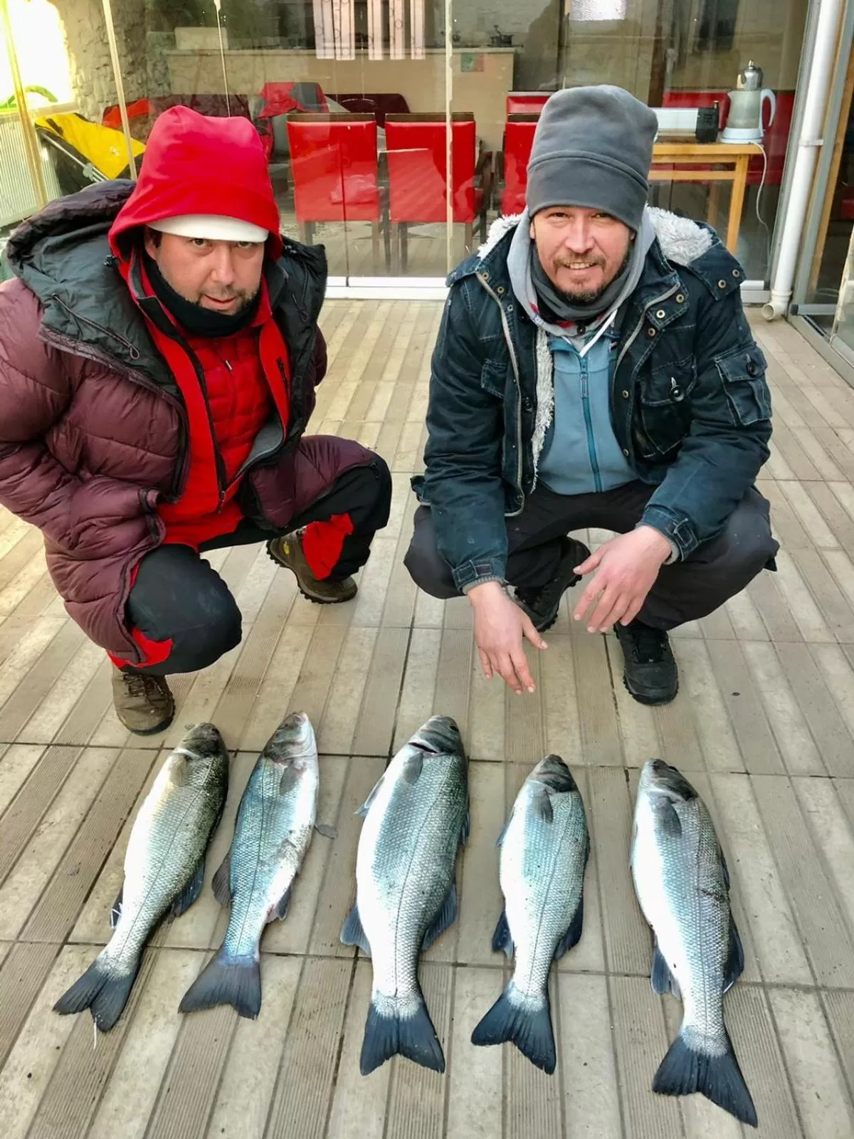 Day in Hotel Crowded House