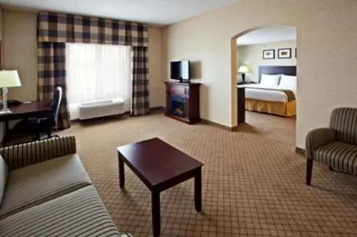 Living room, Seating Area in Holiday Inn Express Hotel & Suites Anderson, an IHG Hotel