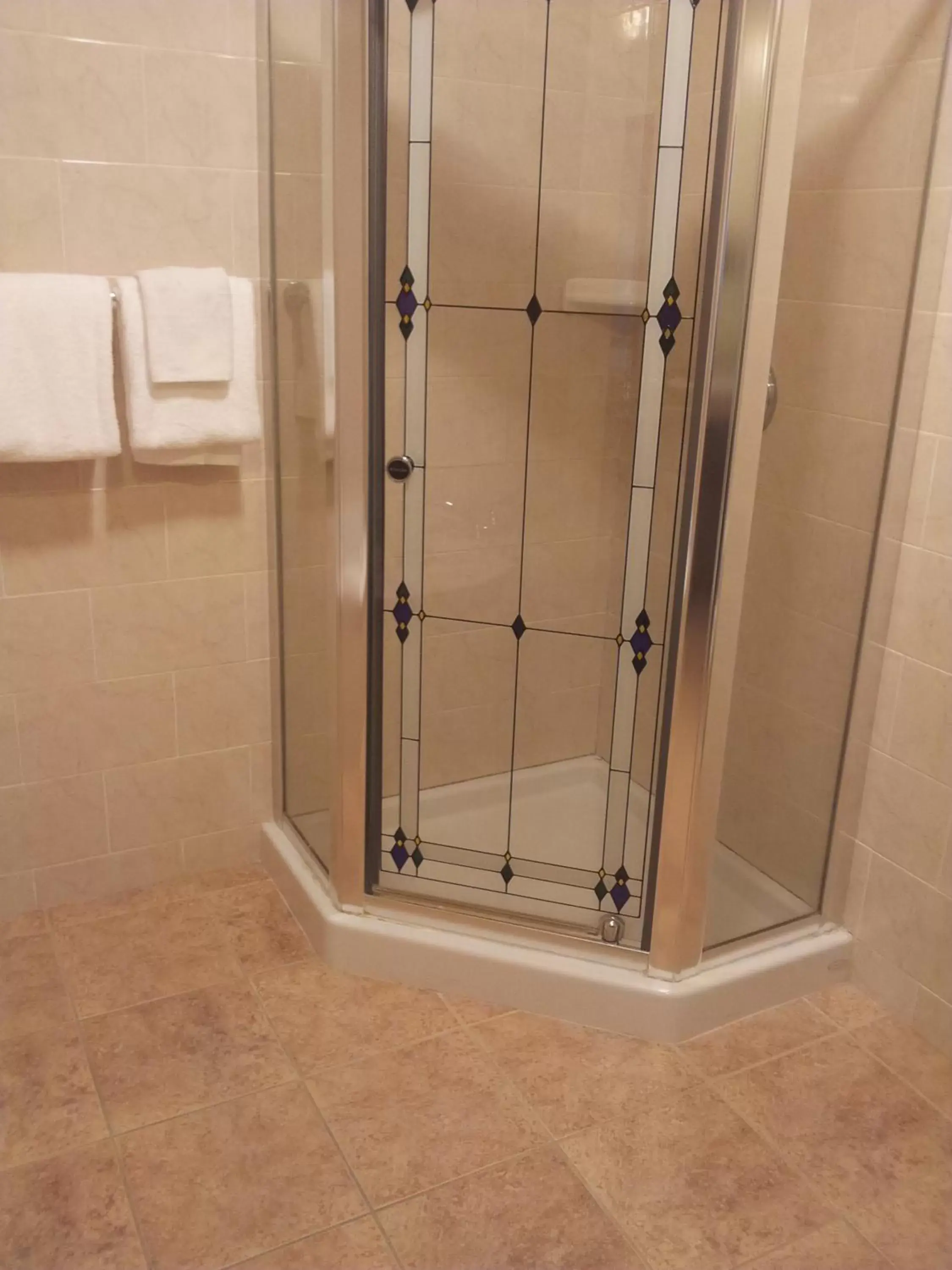 Shower, Bathroom in Belvedere Inn Schenectady - Albany