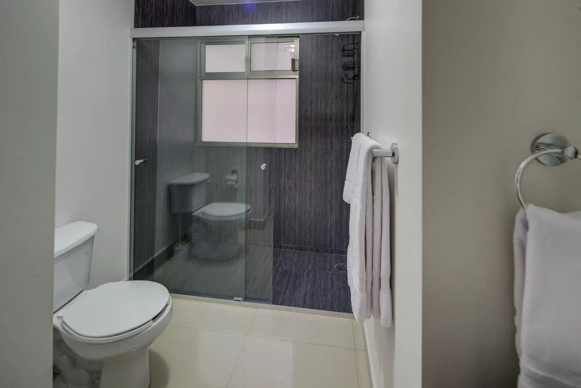 Shower, Bathroom in Alfredo de Musset 354