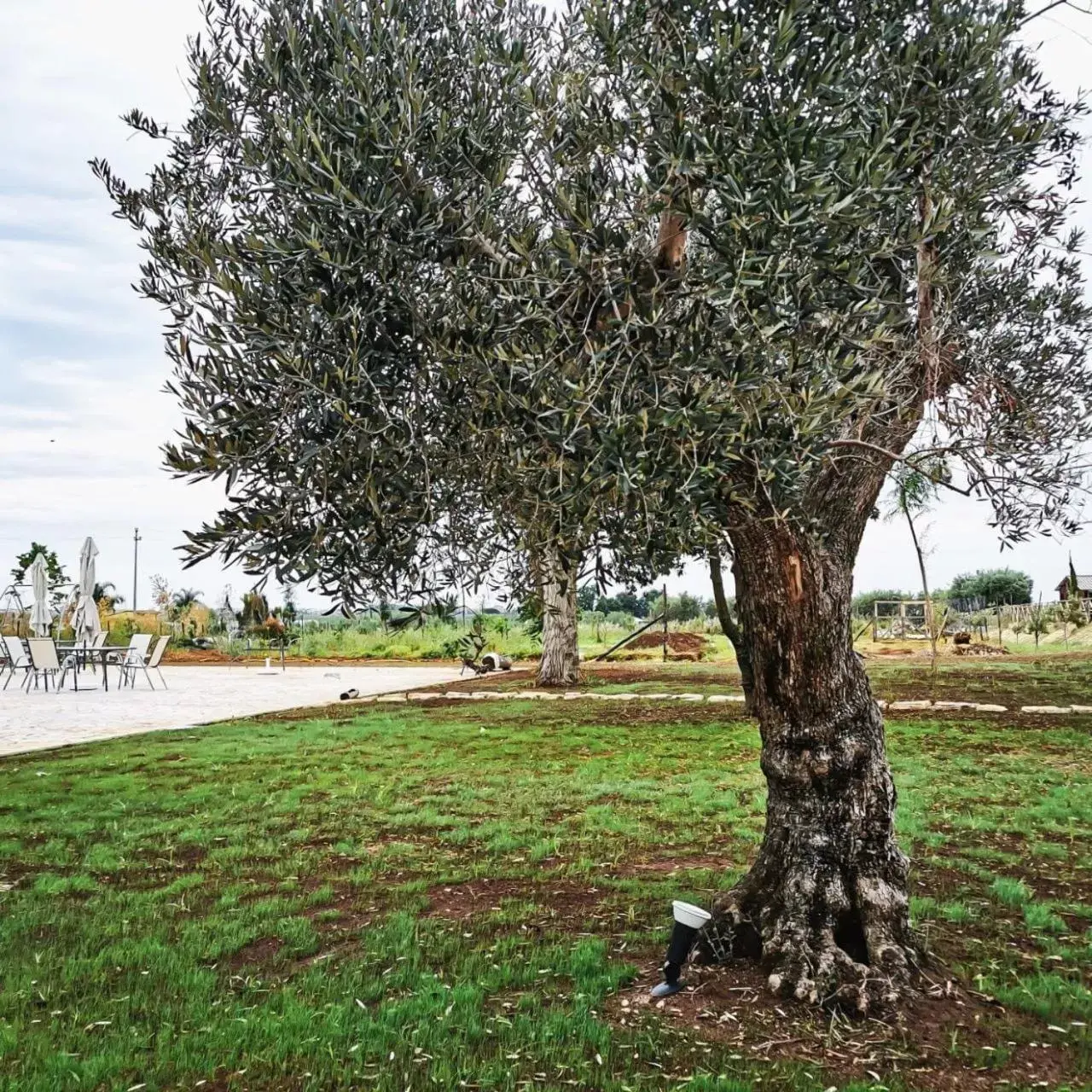 Garden in Il Sentiero di Leano