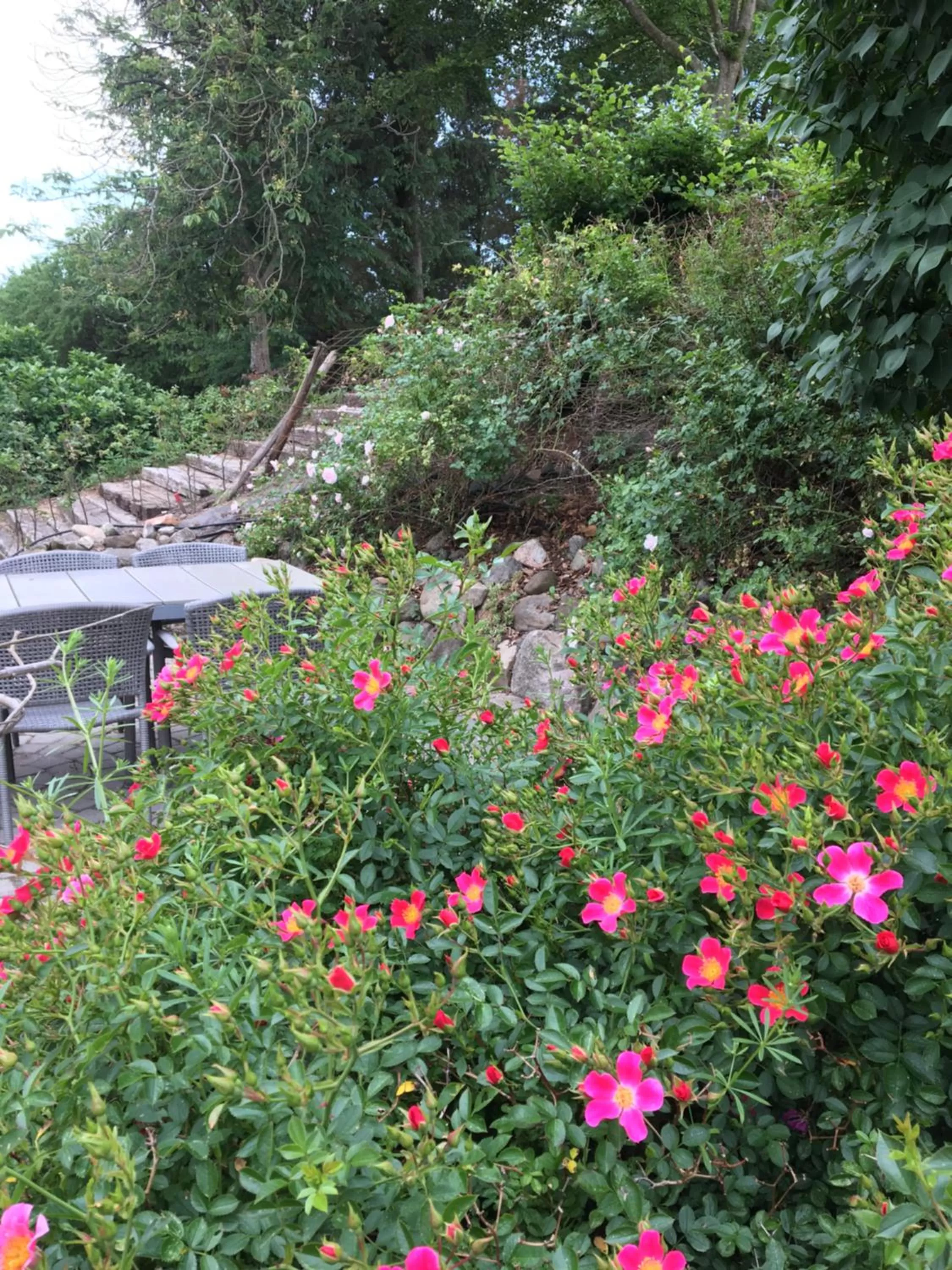 Garden in Margretelyst