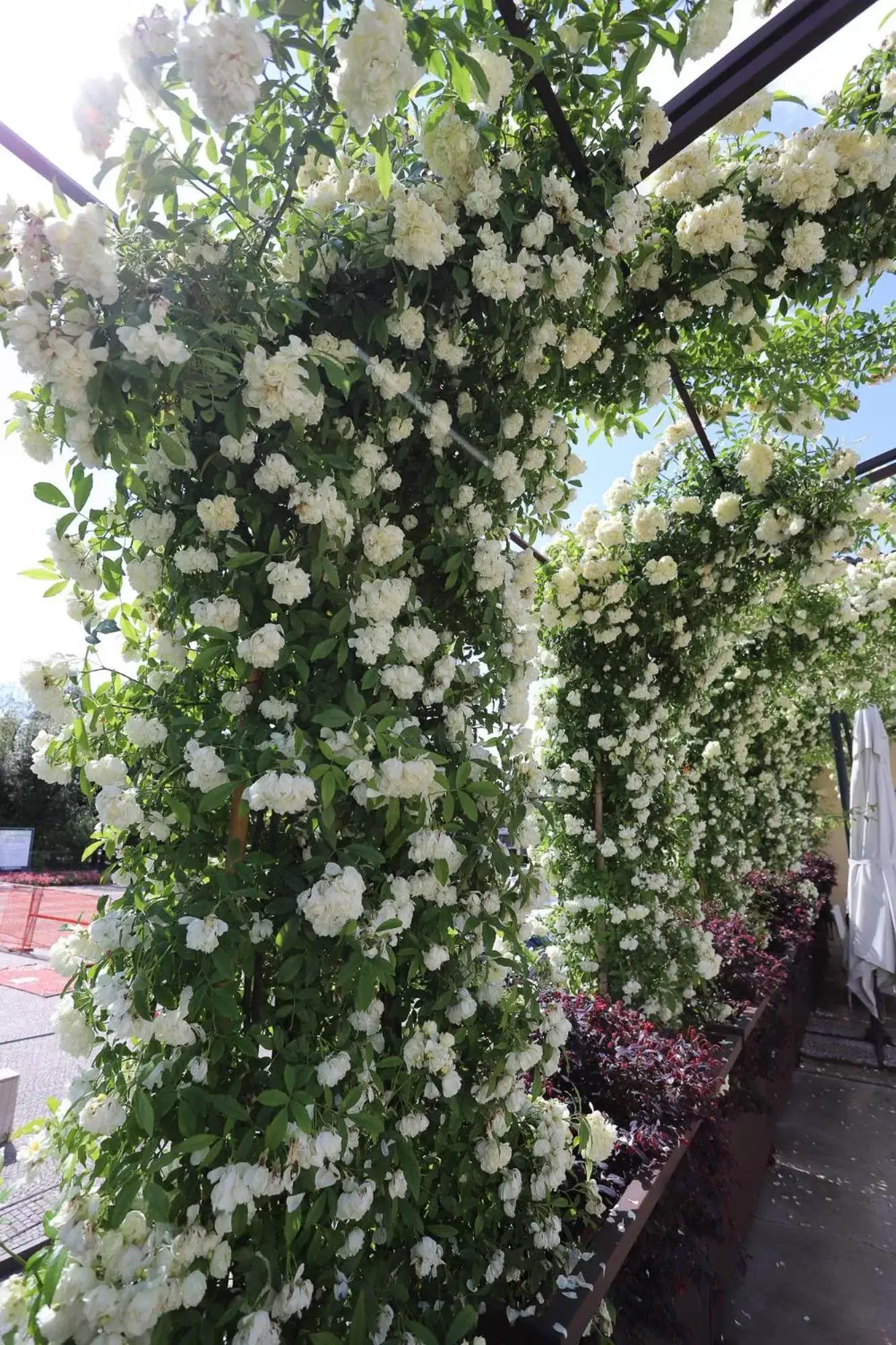 Balcony/Terrace, Garden in LOCANDA RIGHETTO