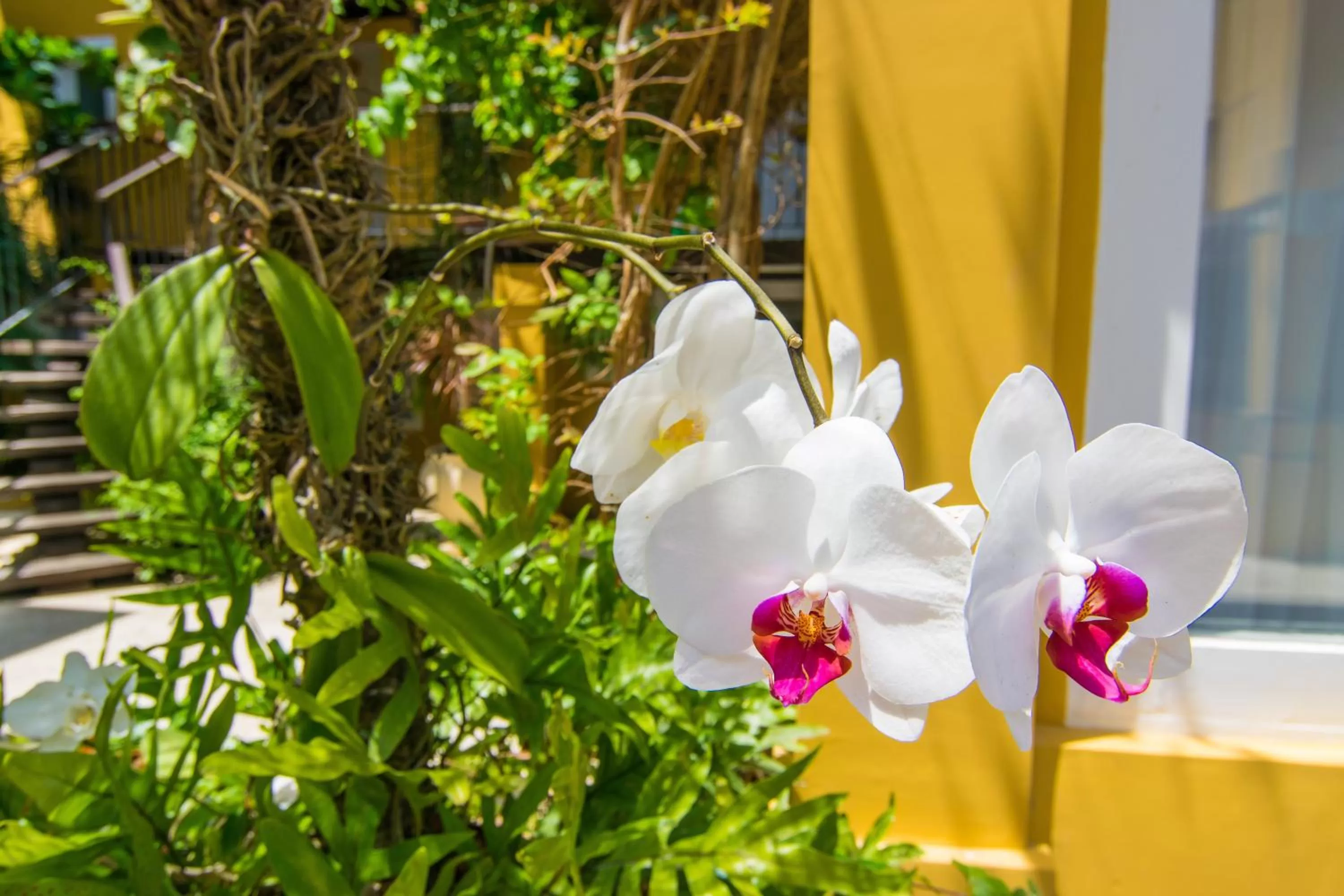 Natural landscape in La Chimère Buzios Essence