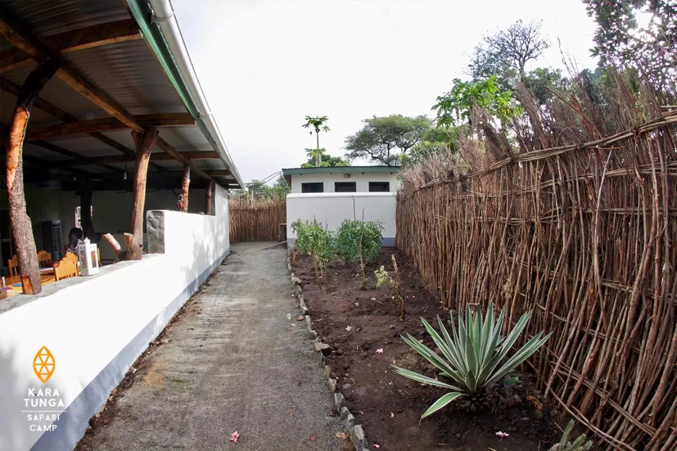 Day in Kara-Tunga Safari Camp