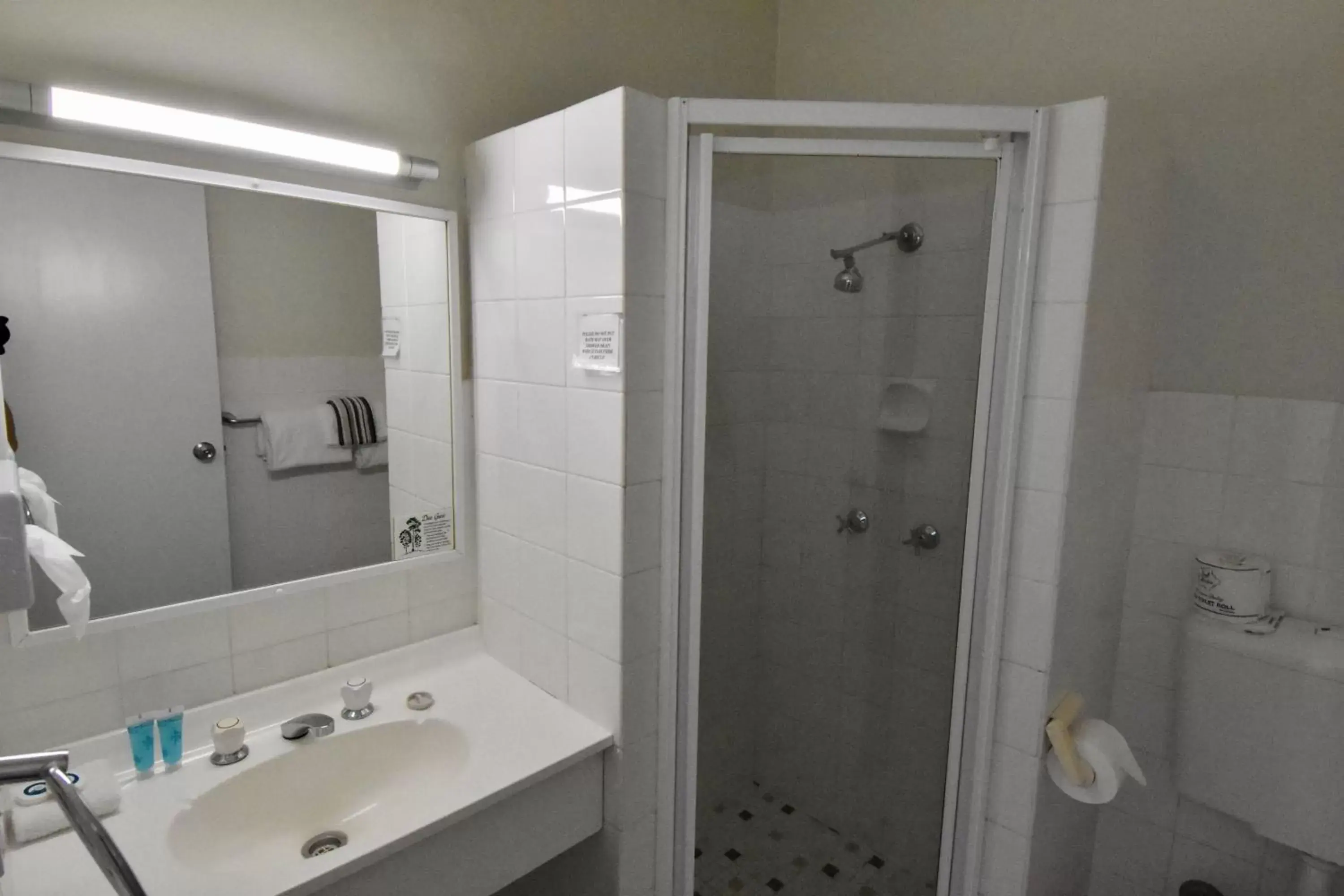 Shower, Bathroom in Ballina Homestead Motel