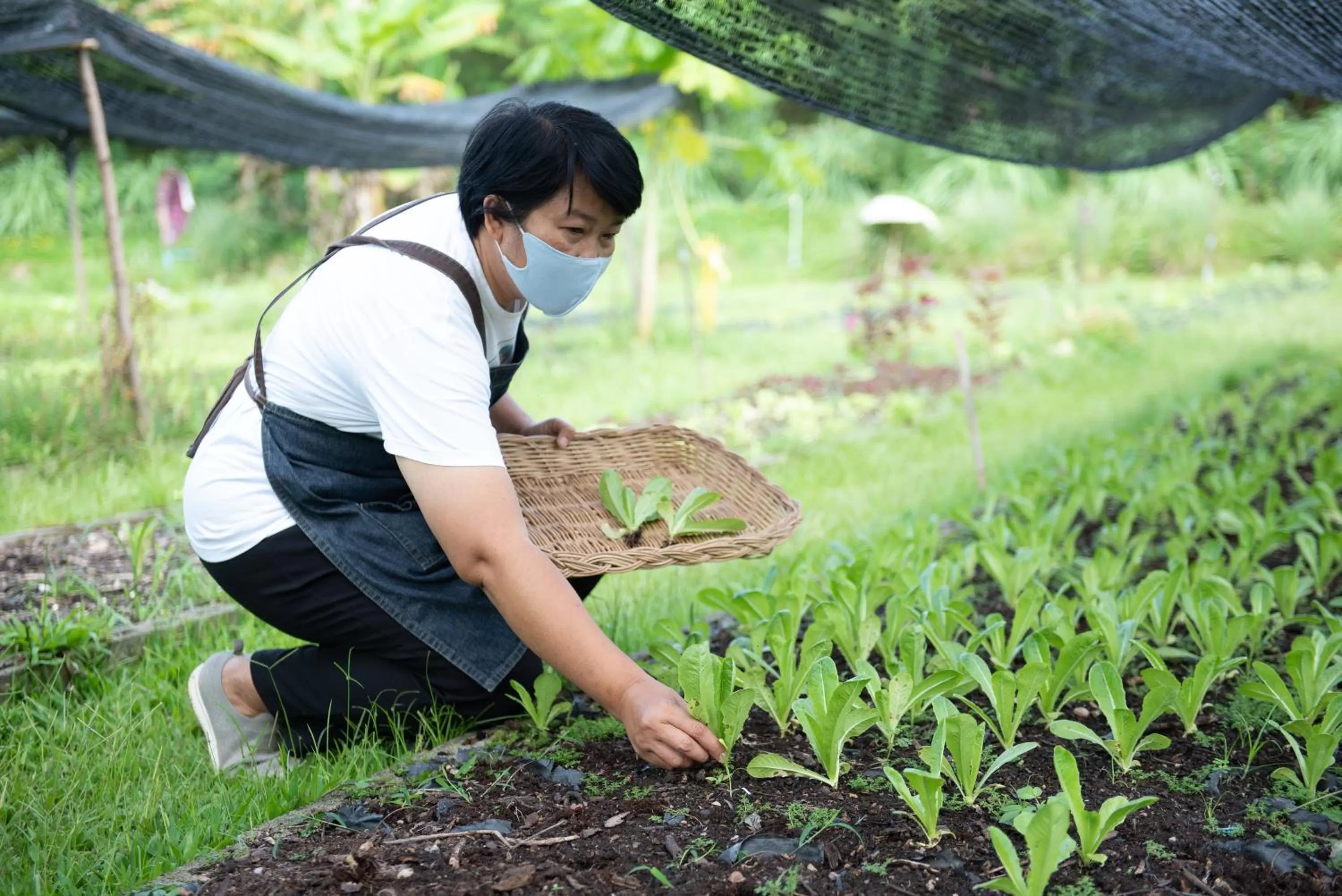 Activities in The Legacy River Kwai Resort