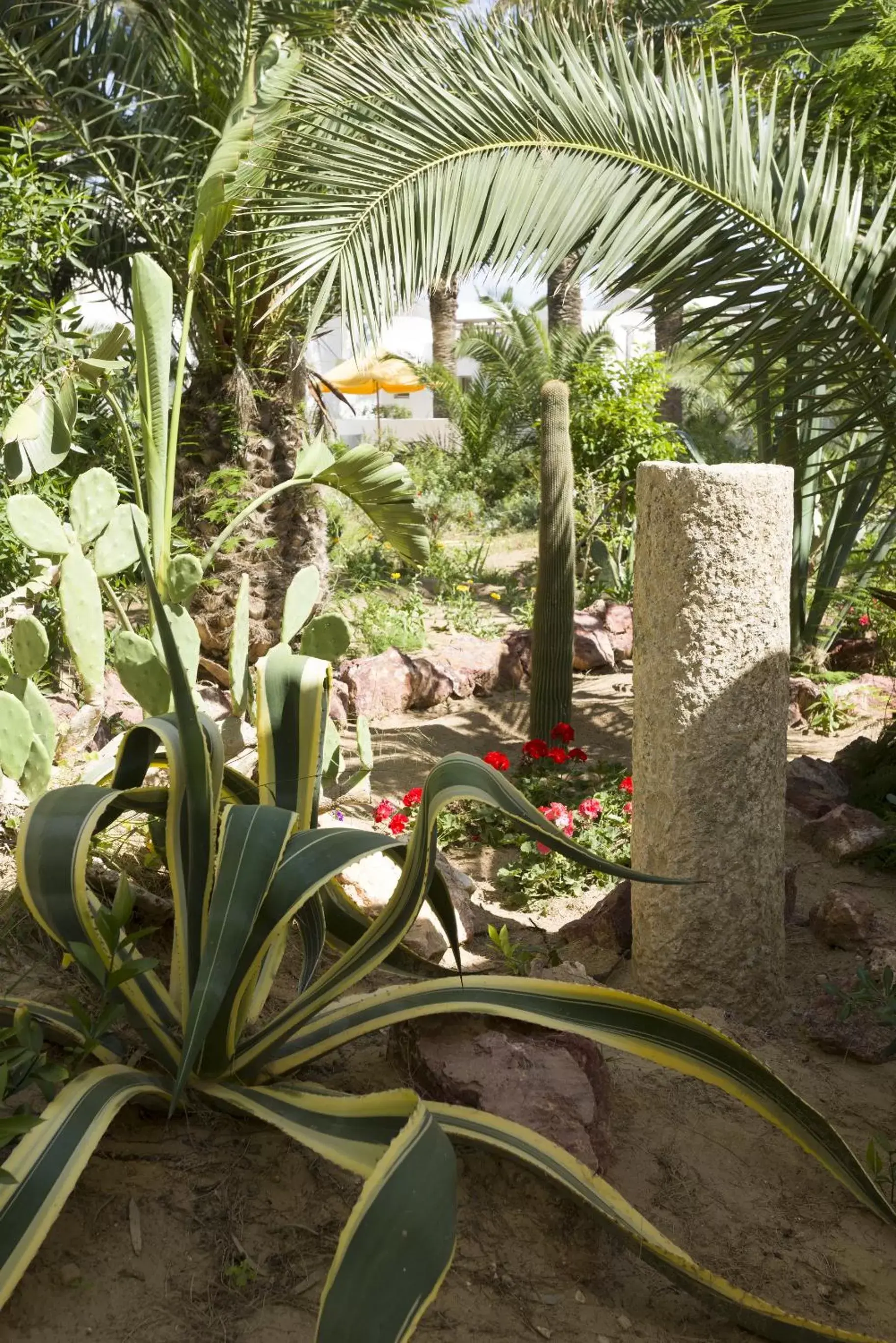 Garden in The Sindbad