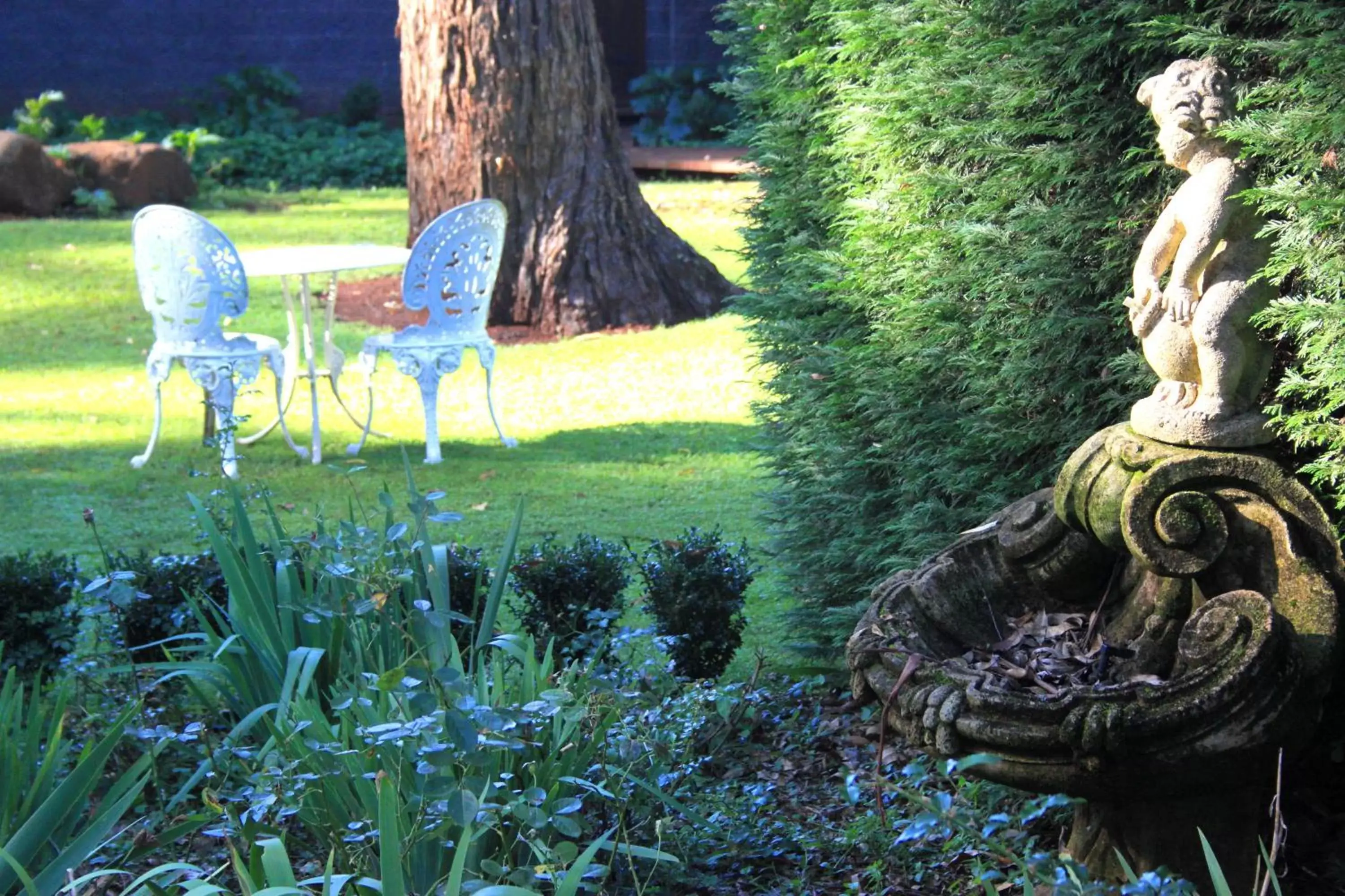 Garden in Lisson Grove