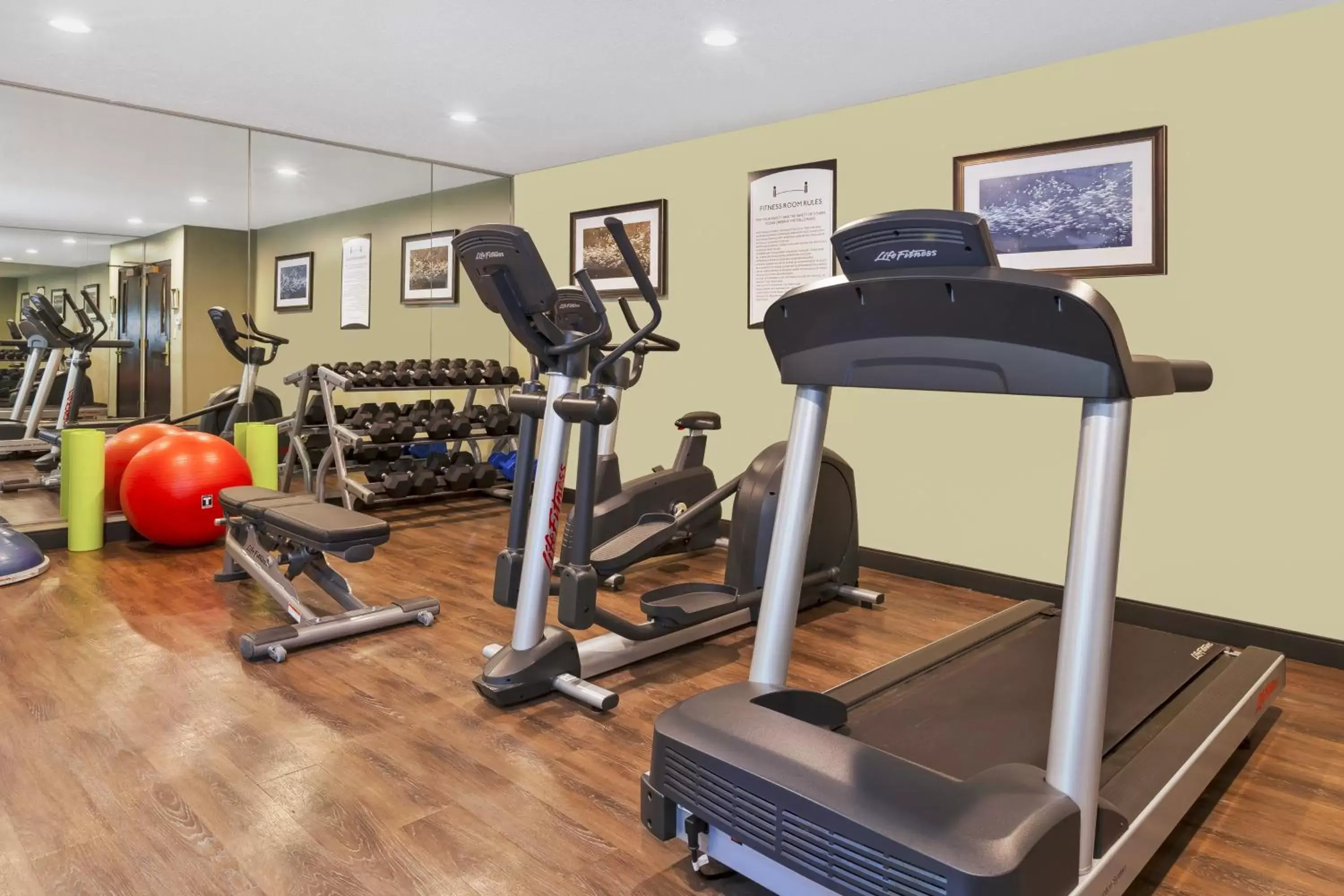Spa and wellness centre/facilities, Fitness Center/Facilities in Staybridge Suites Detroit-Utica, an IHG Hotel
