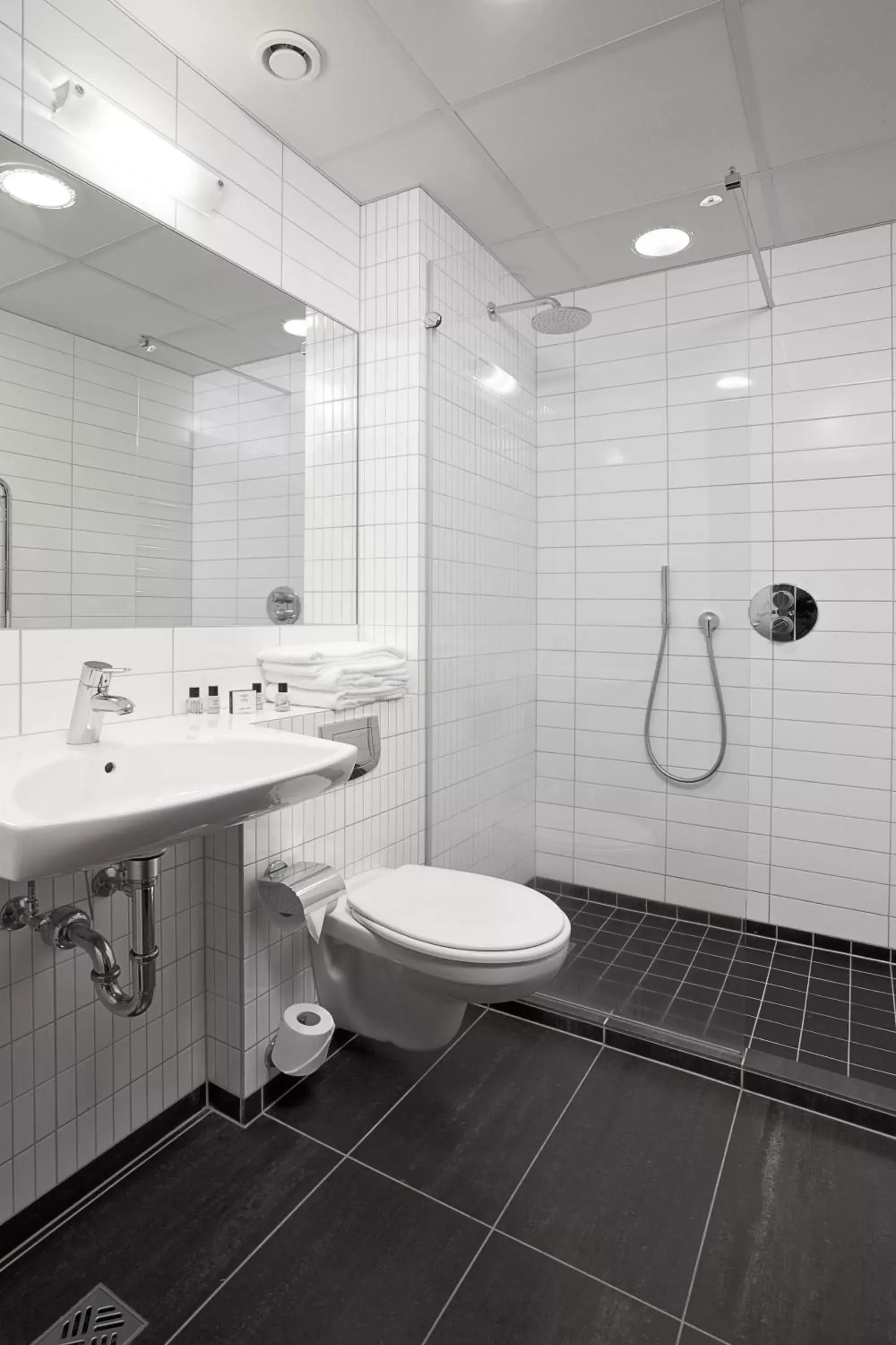 Bathroom in Hotel Cabin