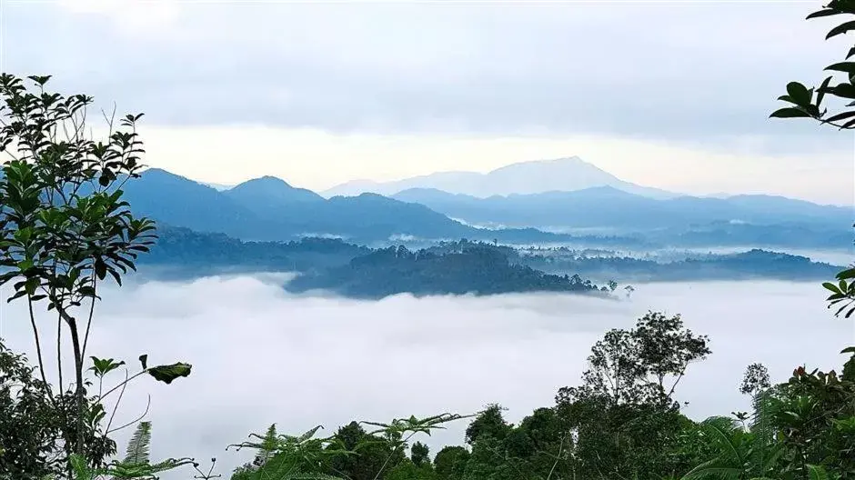 Mountain View in Pantai Regal Hotel