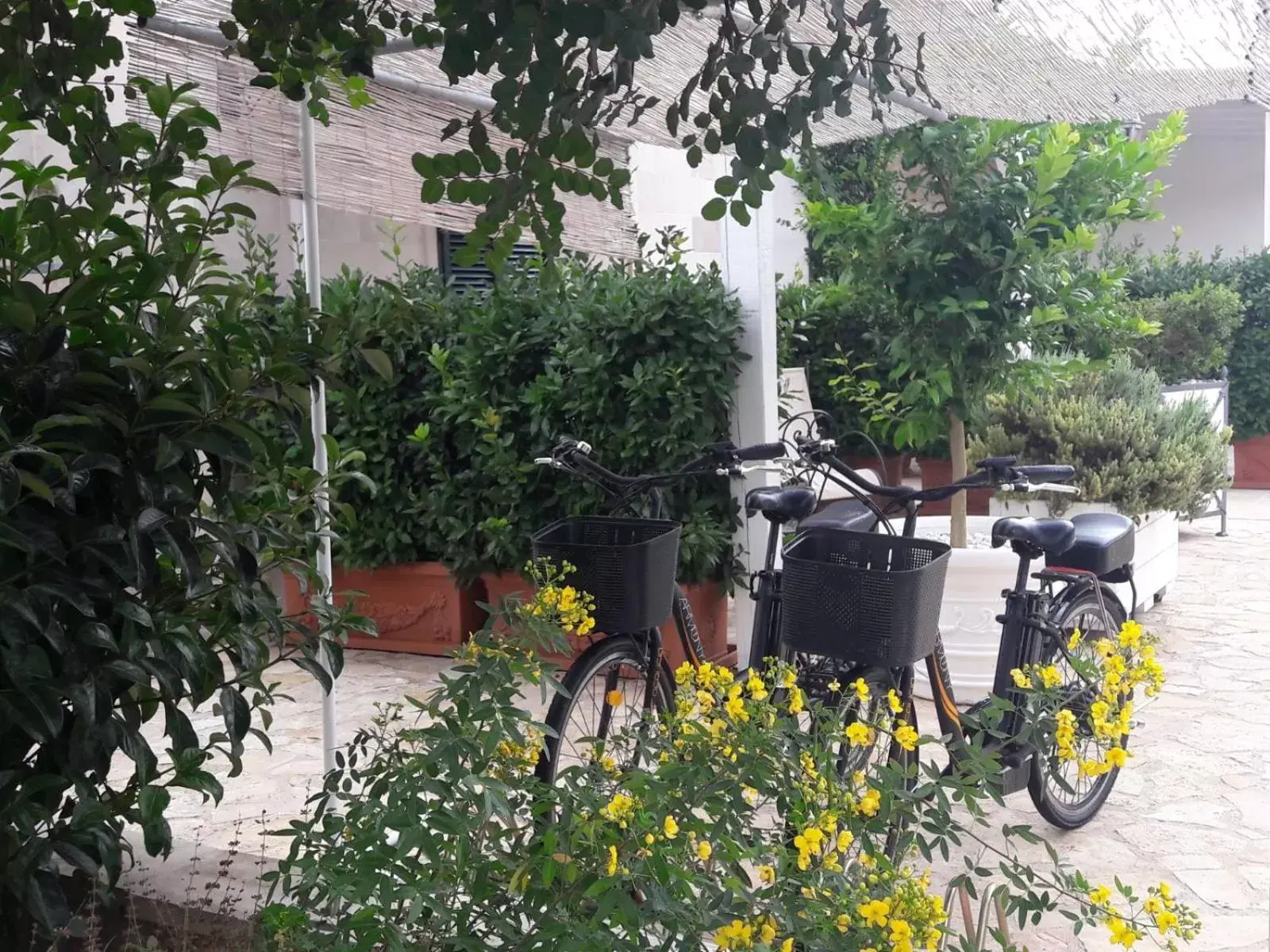 Cycling in Villa Caramia