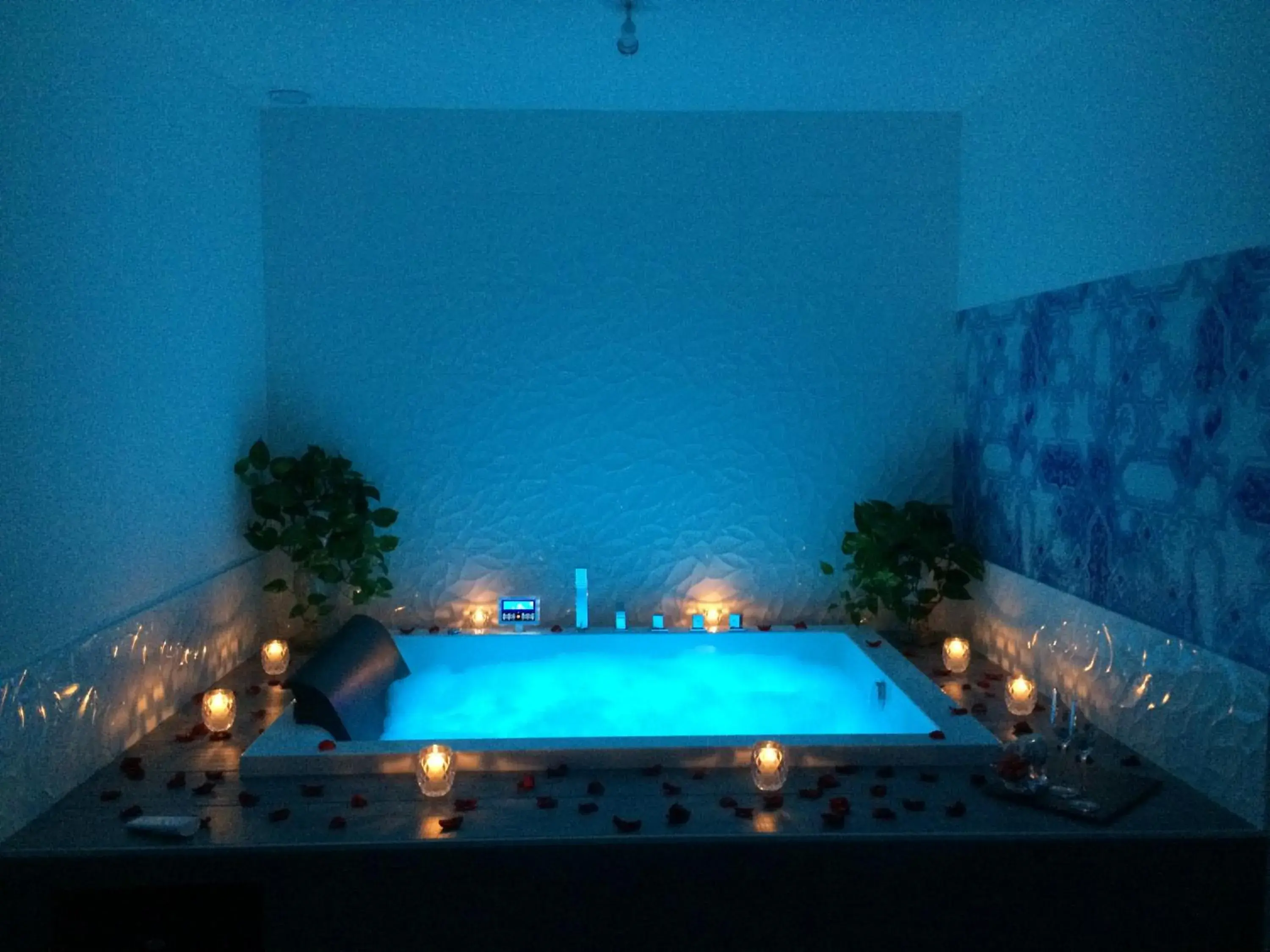 Spa and wellness centre/facilities, Swimming Pool in Hotel Villa Rose