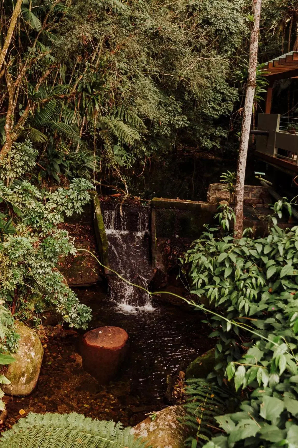 Natural landscape in Plaza Caldas da Imperatriz Resort & Spa