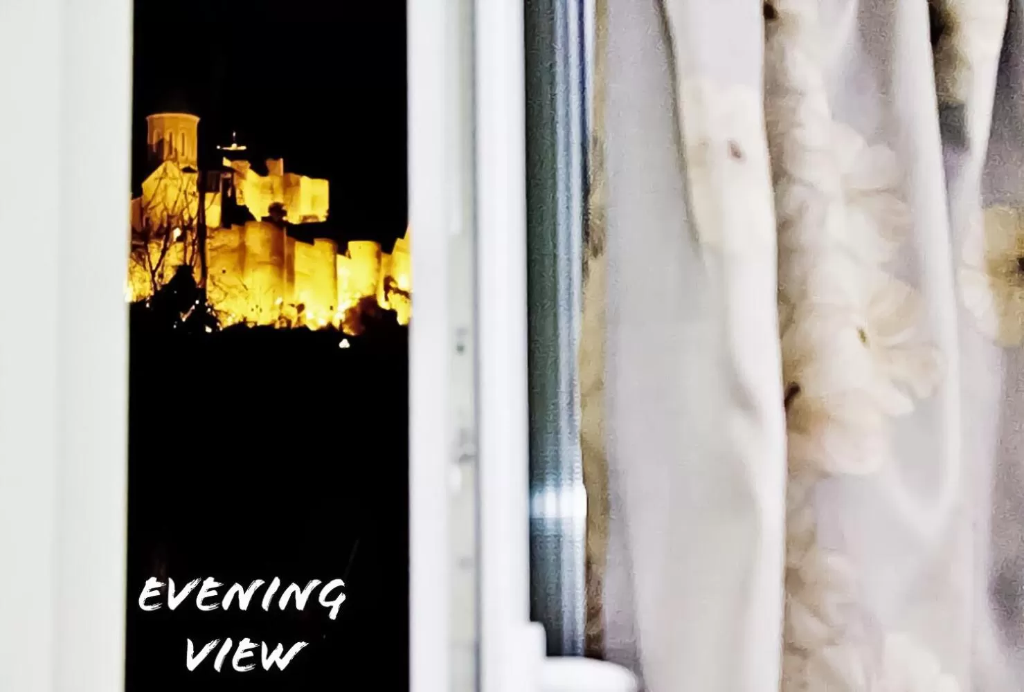 Garden in Red Fox Guesthouse