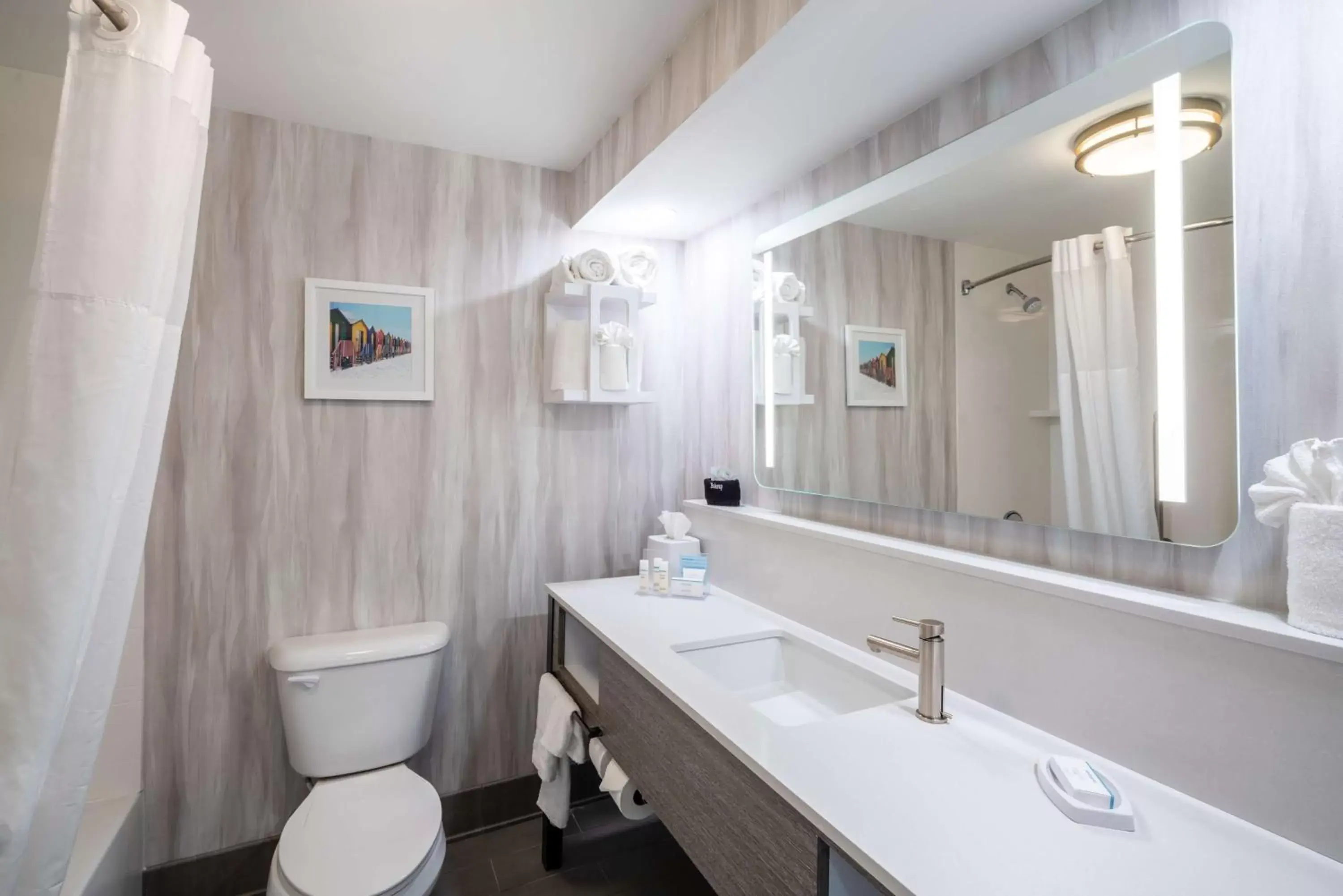 Bathroom in Hampton Inn & Suites Amelia Island
