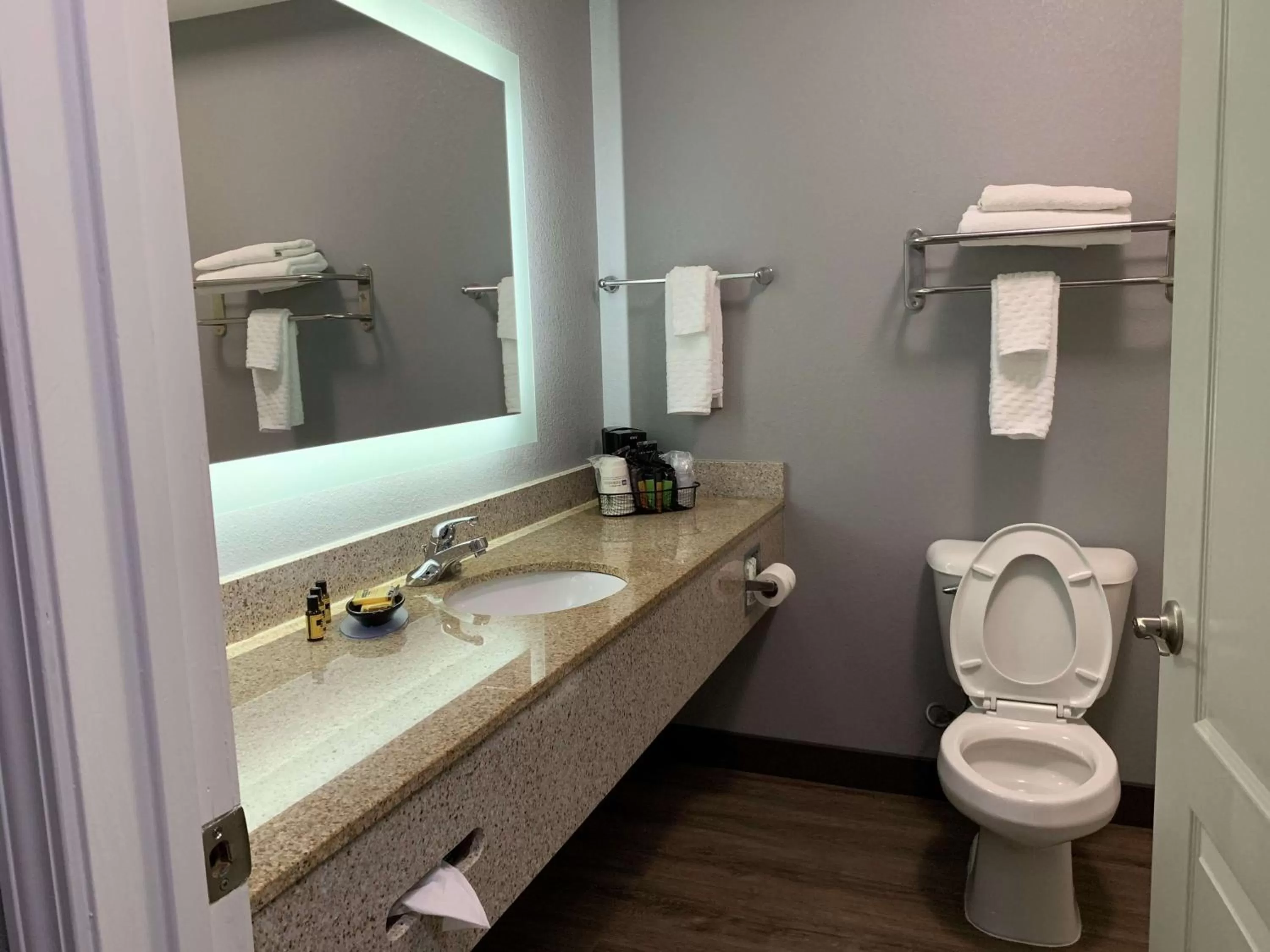 Bathroom in Best Western Plus Olive Branch Hotel & Suites