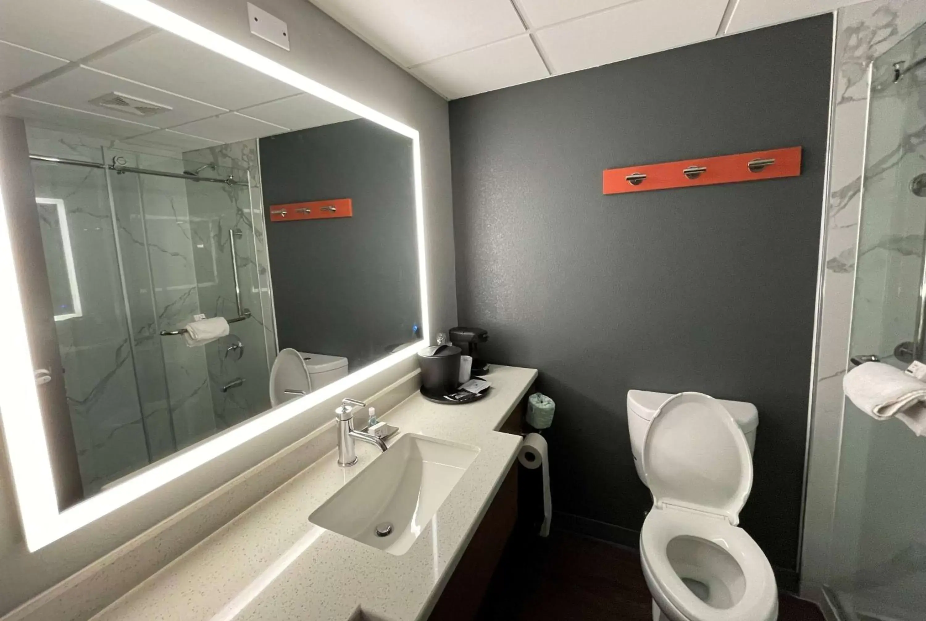 Shower, Bathroom in La Quinta Inn & Suites by Wyndham Fayetteville I-95