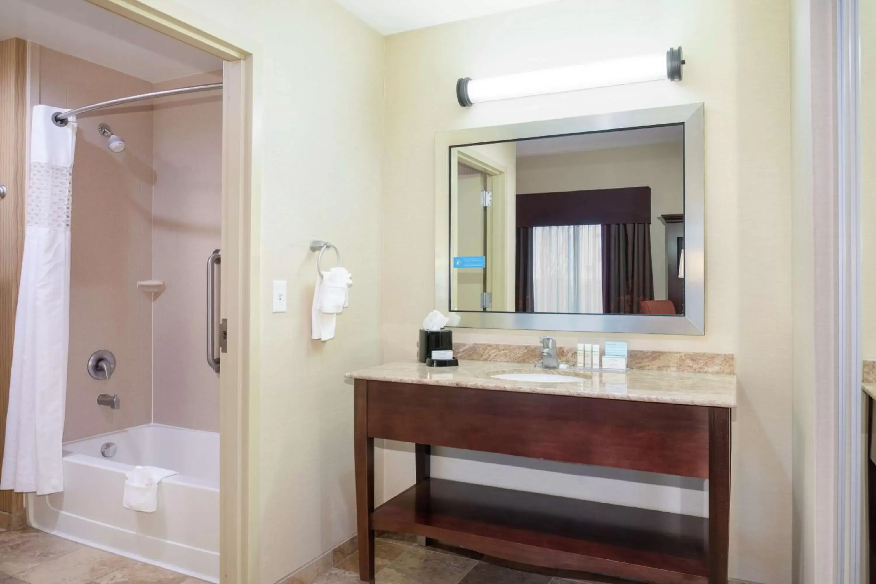 Bathroom in Hampton Inn and Suites Denver/South-RidgeGate