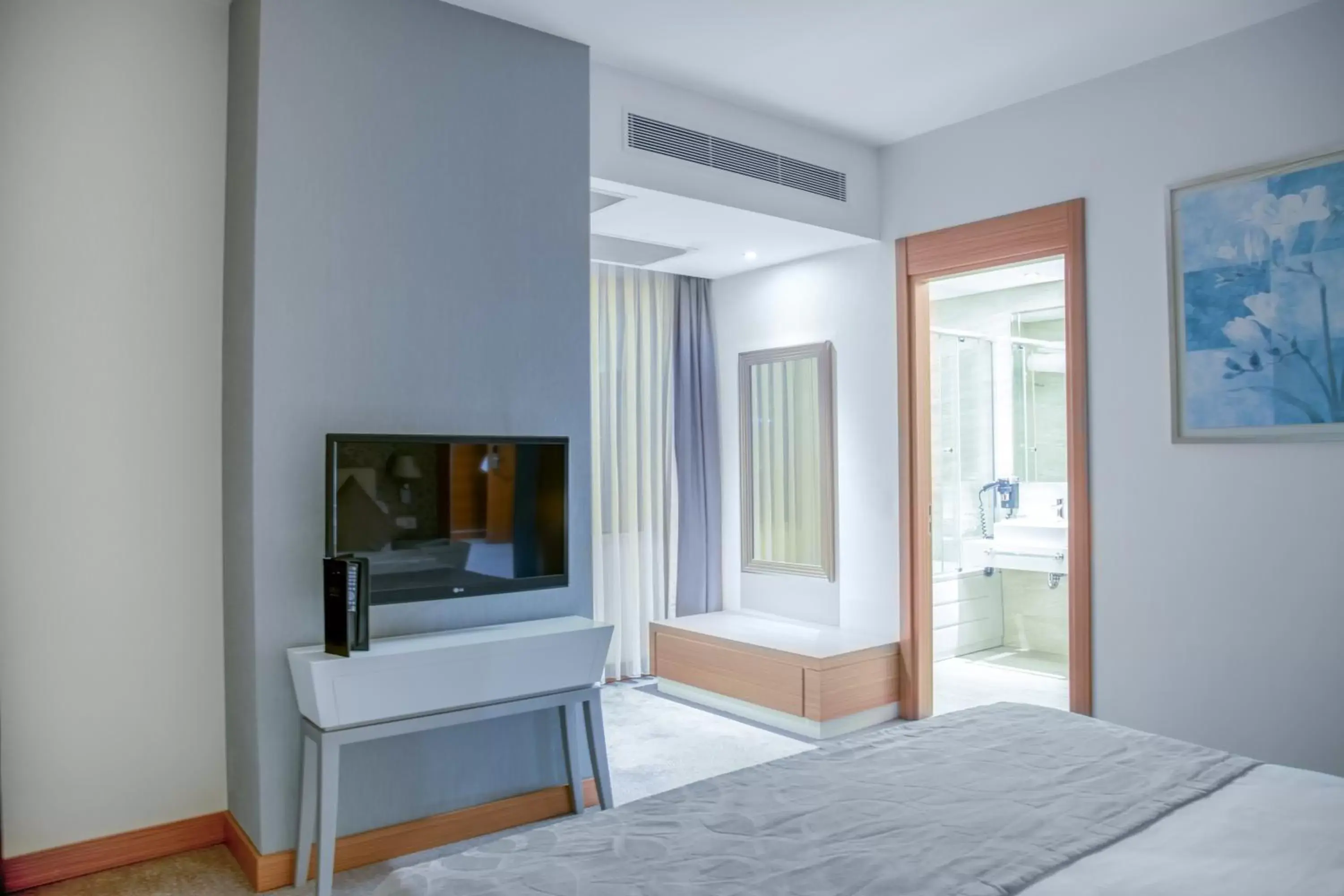 TV and multimedia, TV/Entertainment Center in Ramada Plaza by Wyndham Istanbul Asia Airport