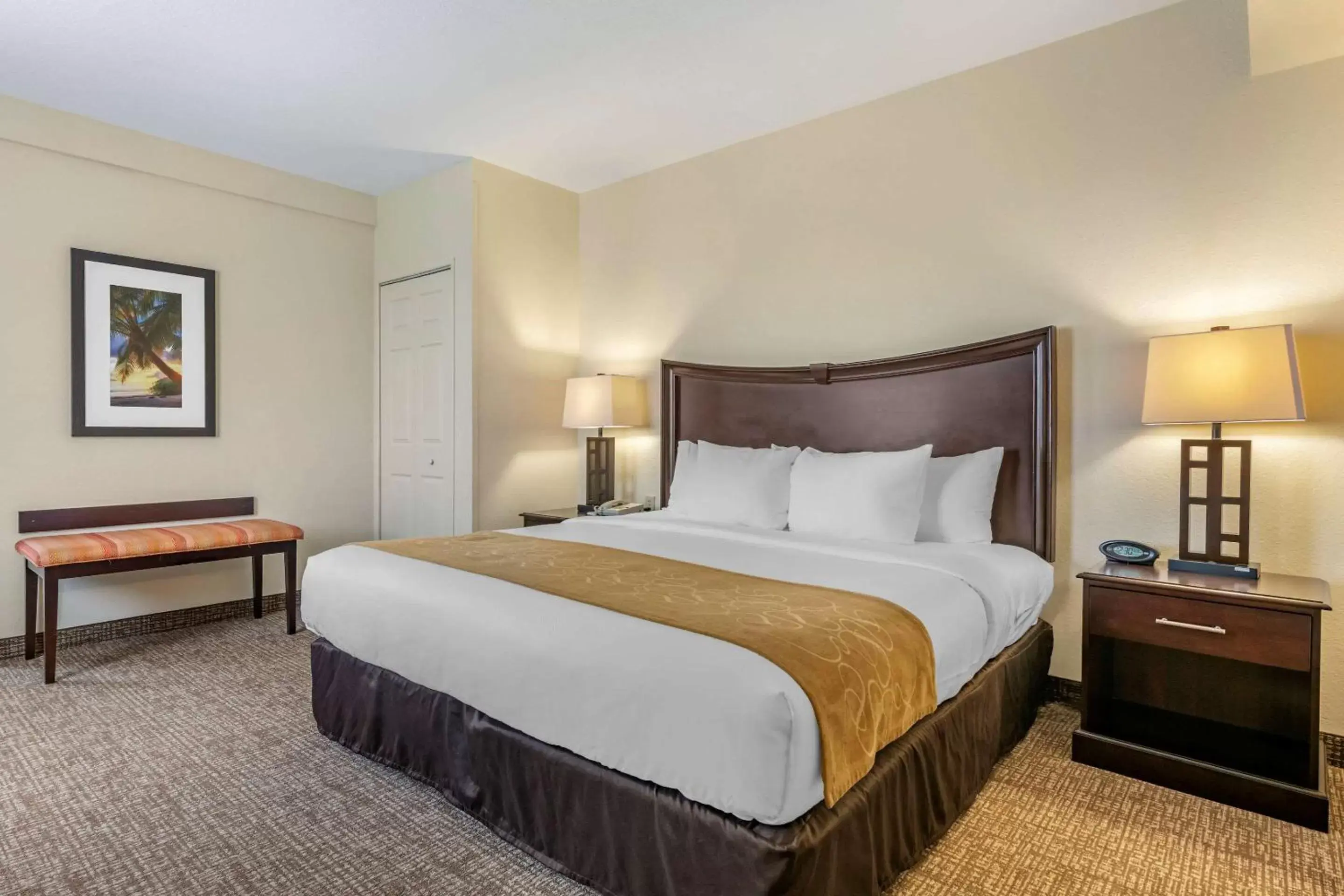 One-Bedroom King Suite with Two Bathrooms - Accessible in Comfort Suites Maingate East