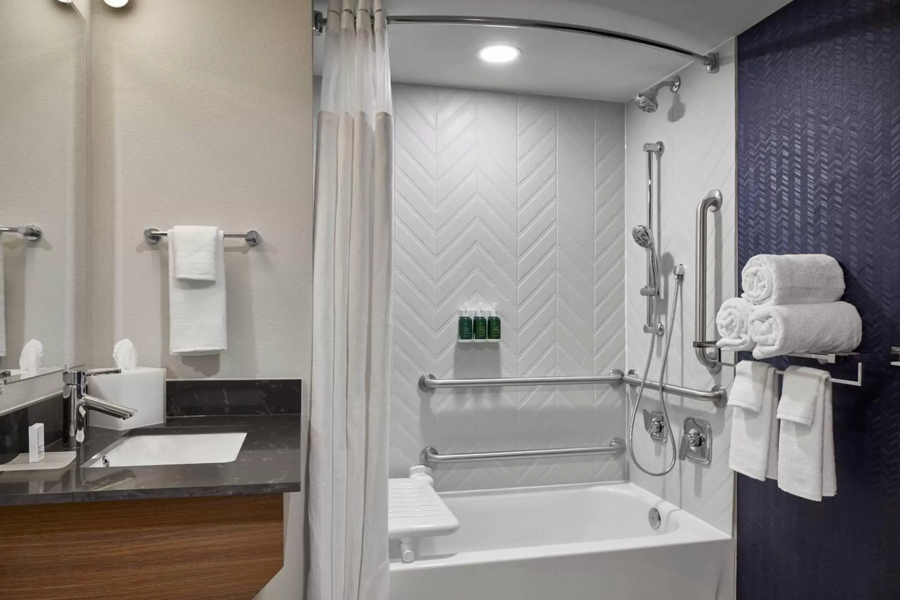 Bathroom in Fairfield Inn & Suites by Marriott Virginia Beach/Norfolk Airport