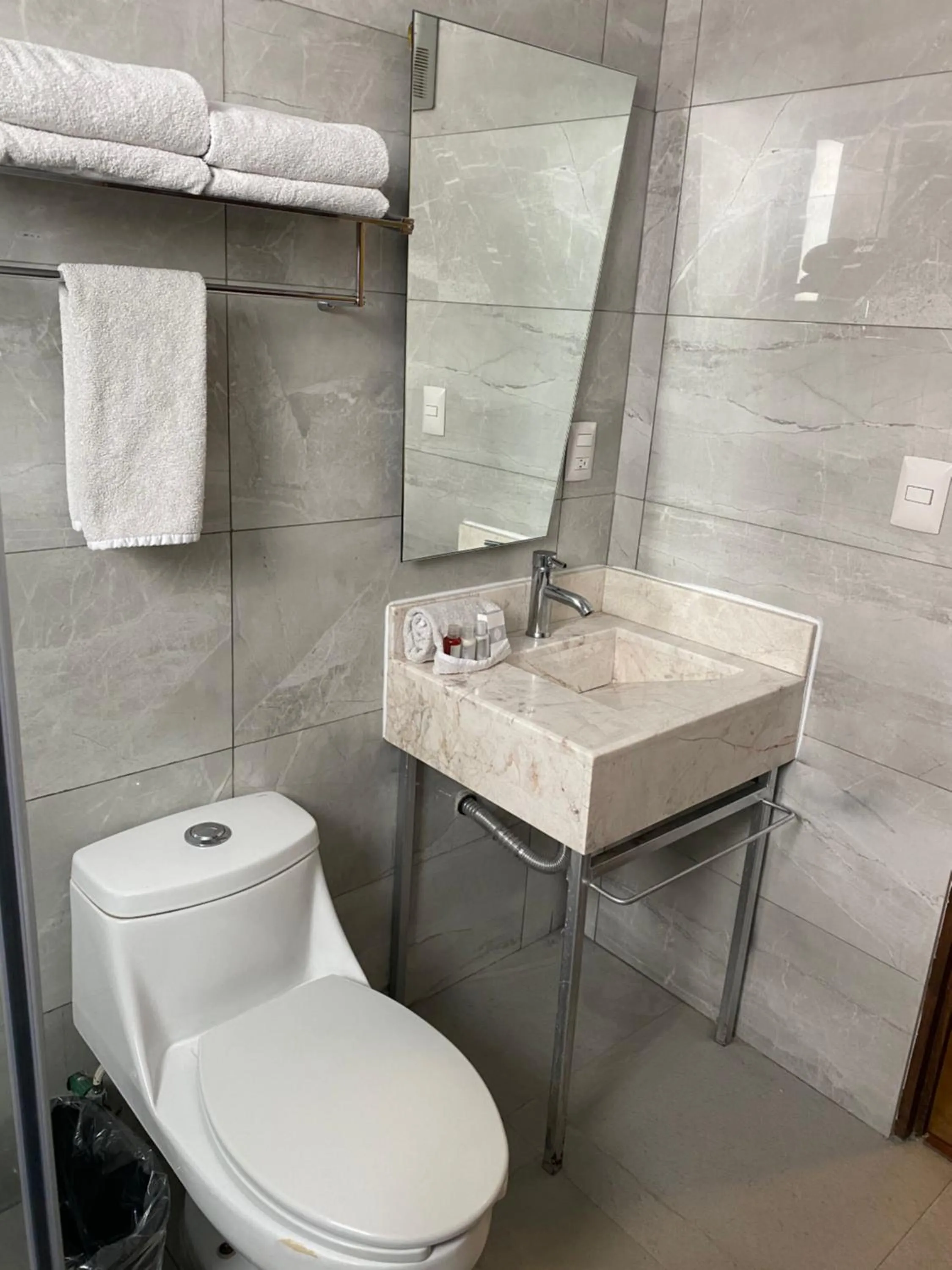 Toilet in Suites Lerma 205