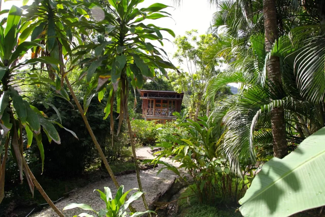 Garden in Acajou Hotel