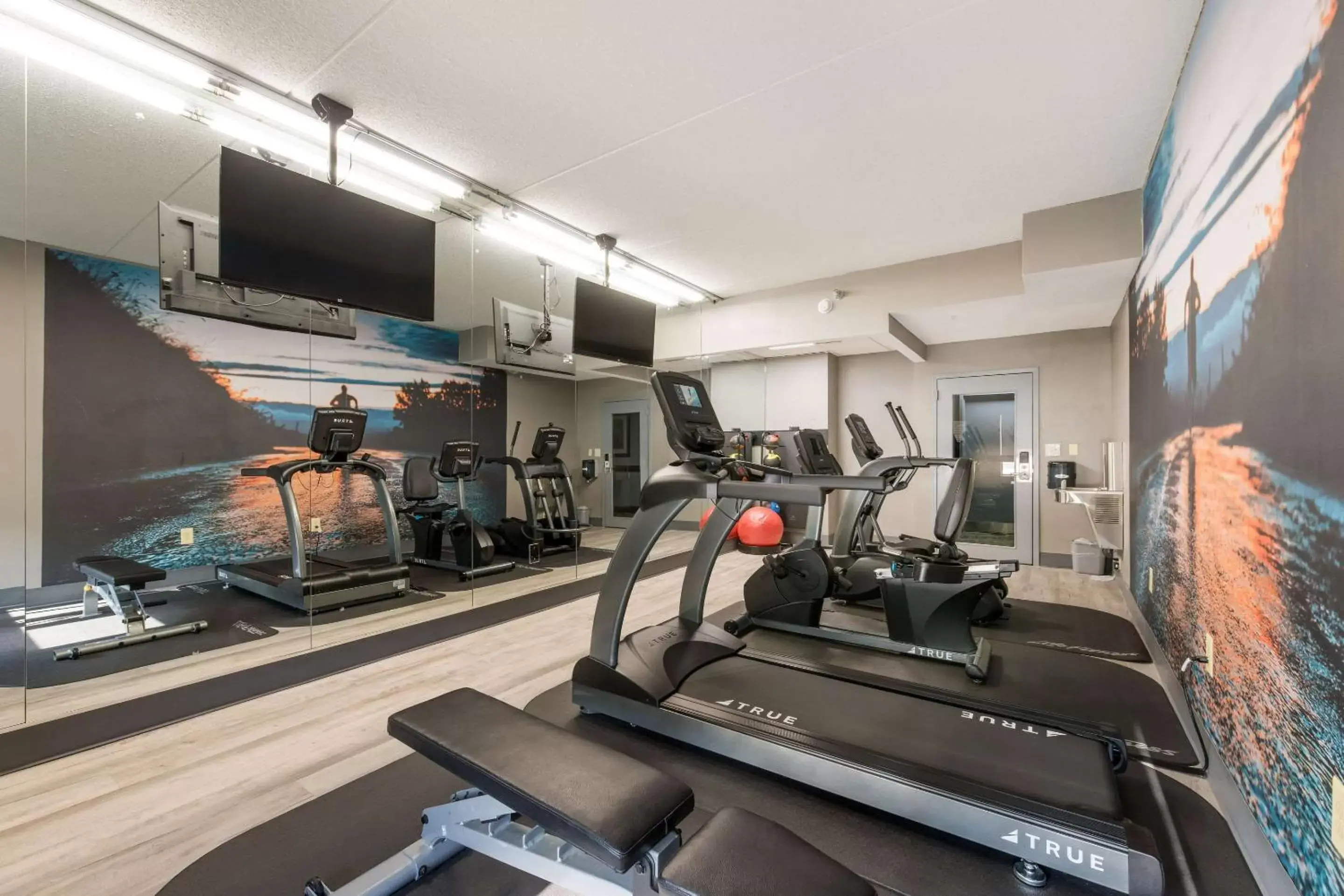 Fitness centre/facilities, Fitness Center/Facilities in Clarion Pointe Greensboro Airport