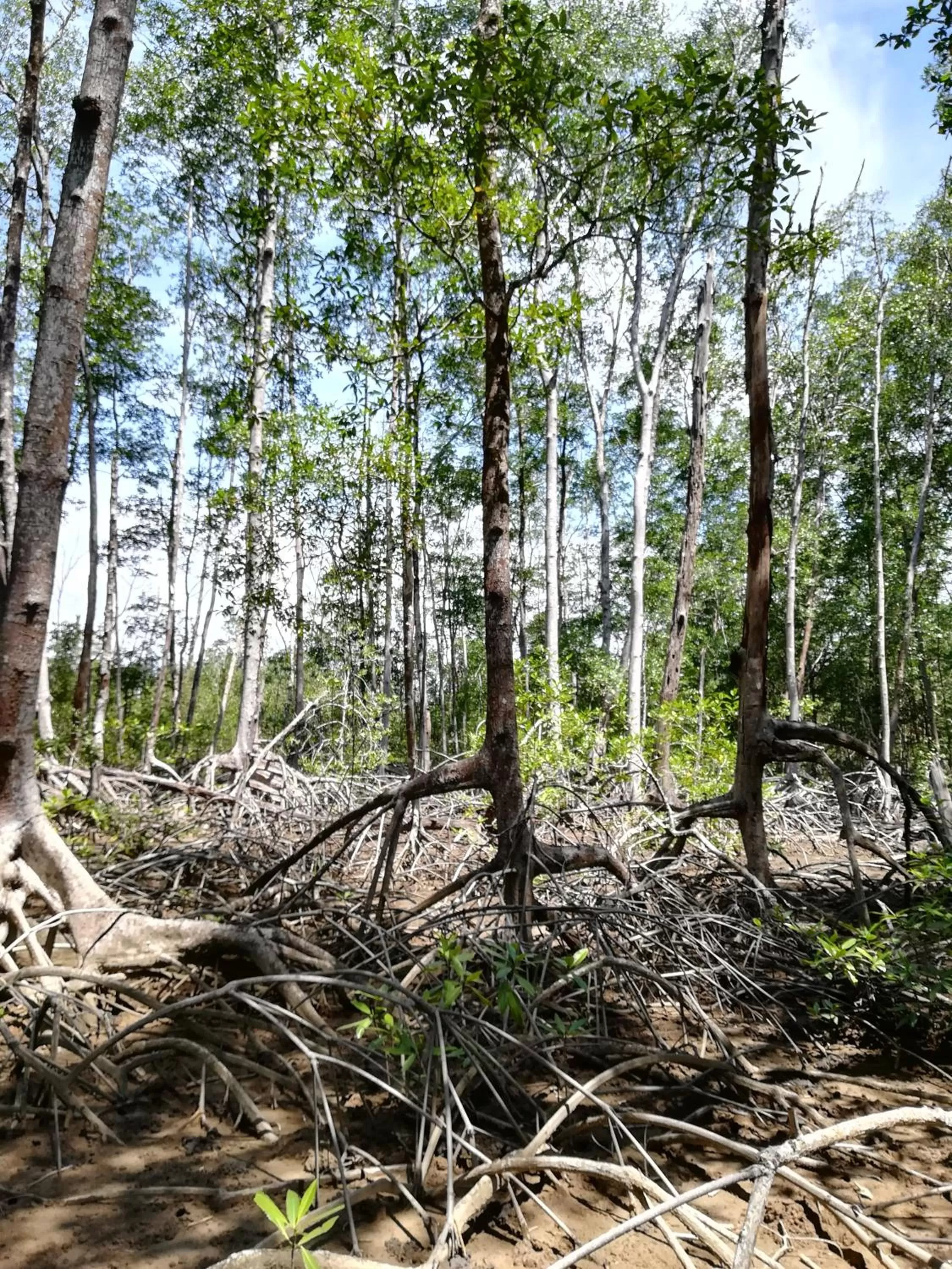 Natural landscape in El Gecko Hotel & Tours