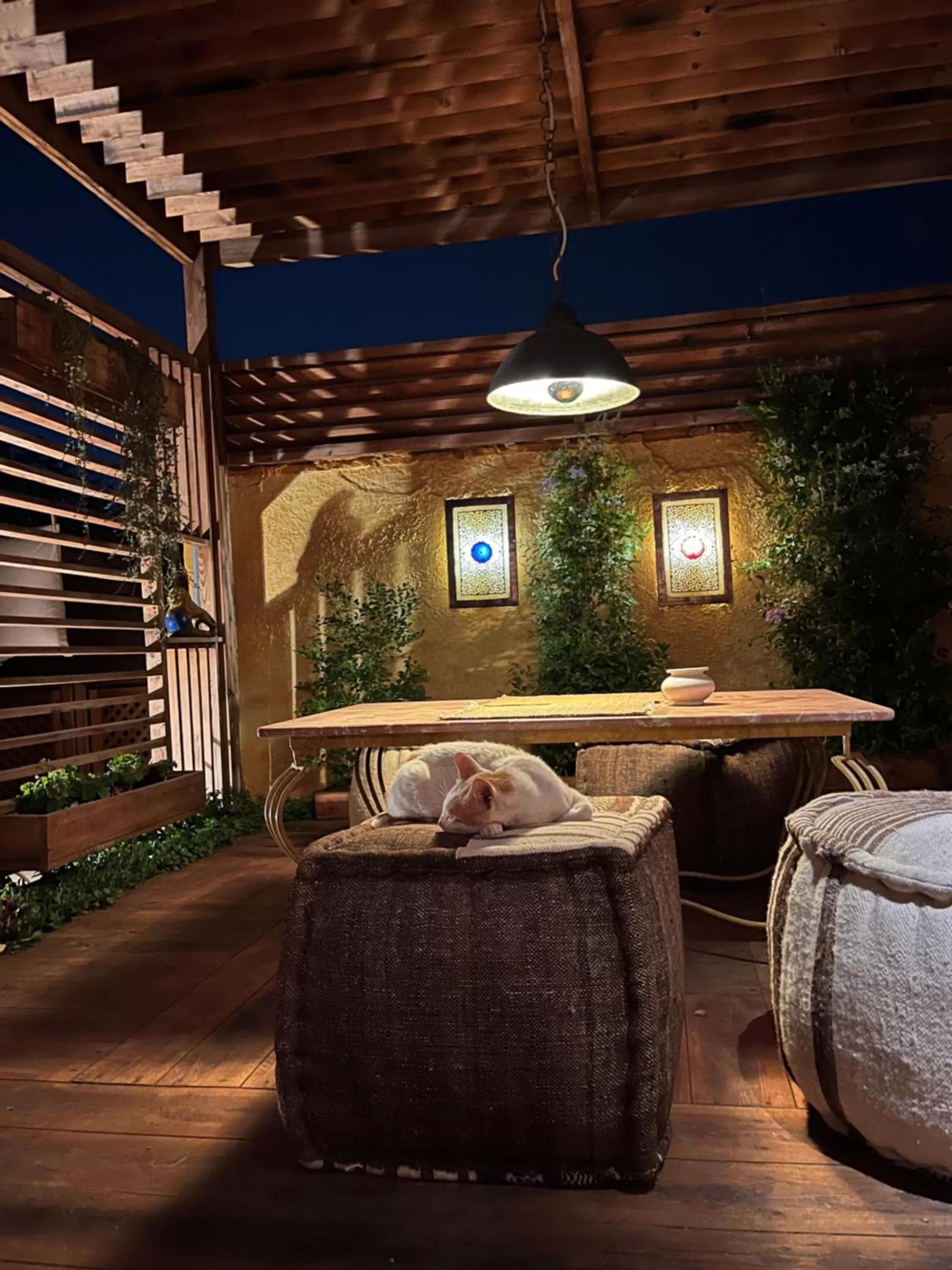 Night in Riad Al Ibtikar