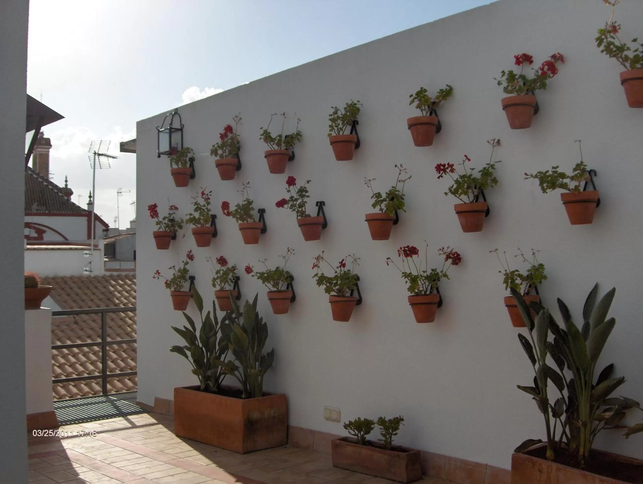 Balcony/Terrace in Hotel Murillo