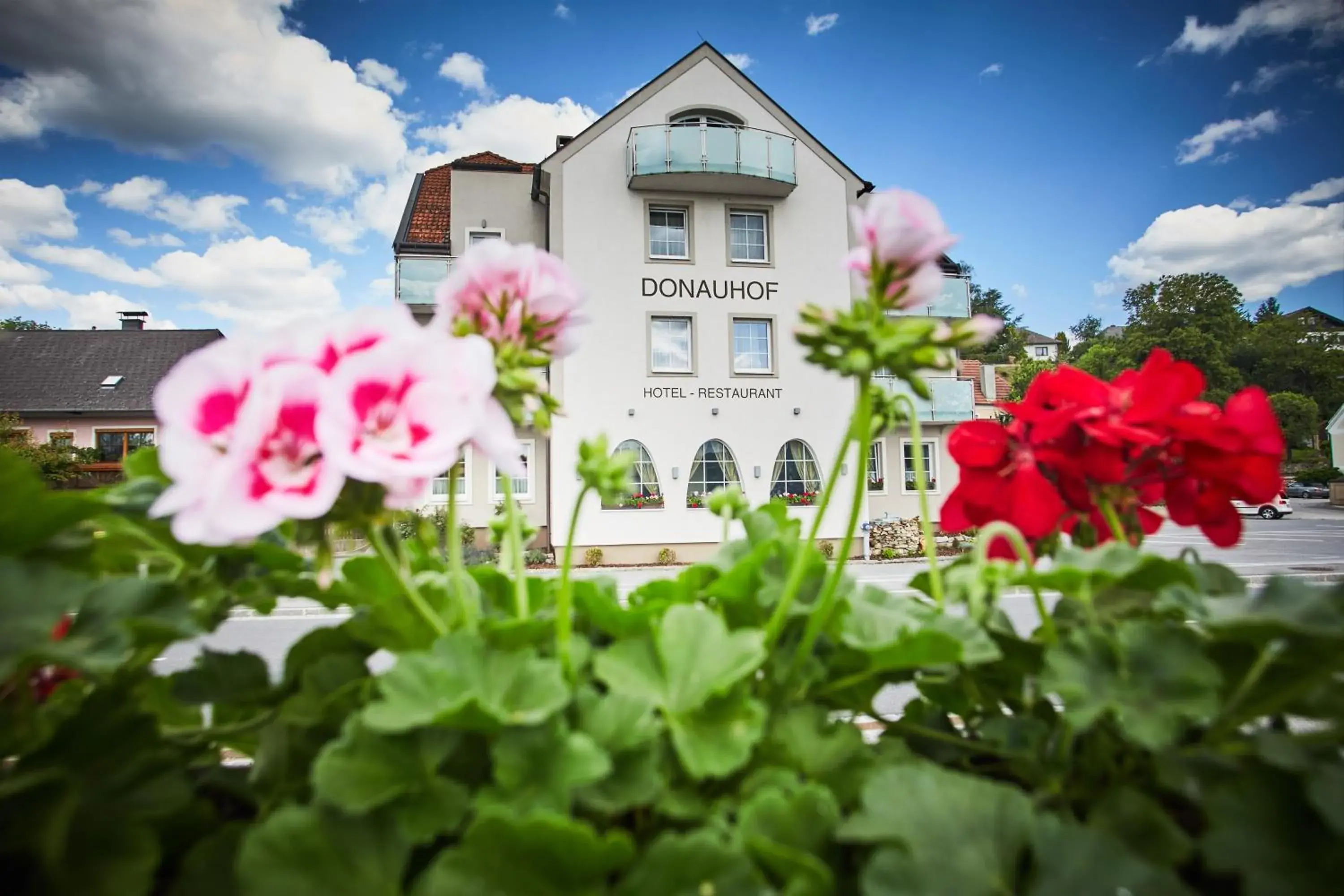 Property Building in Hotel Donauhof