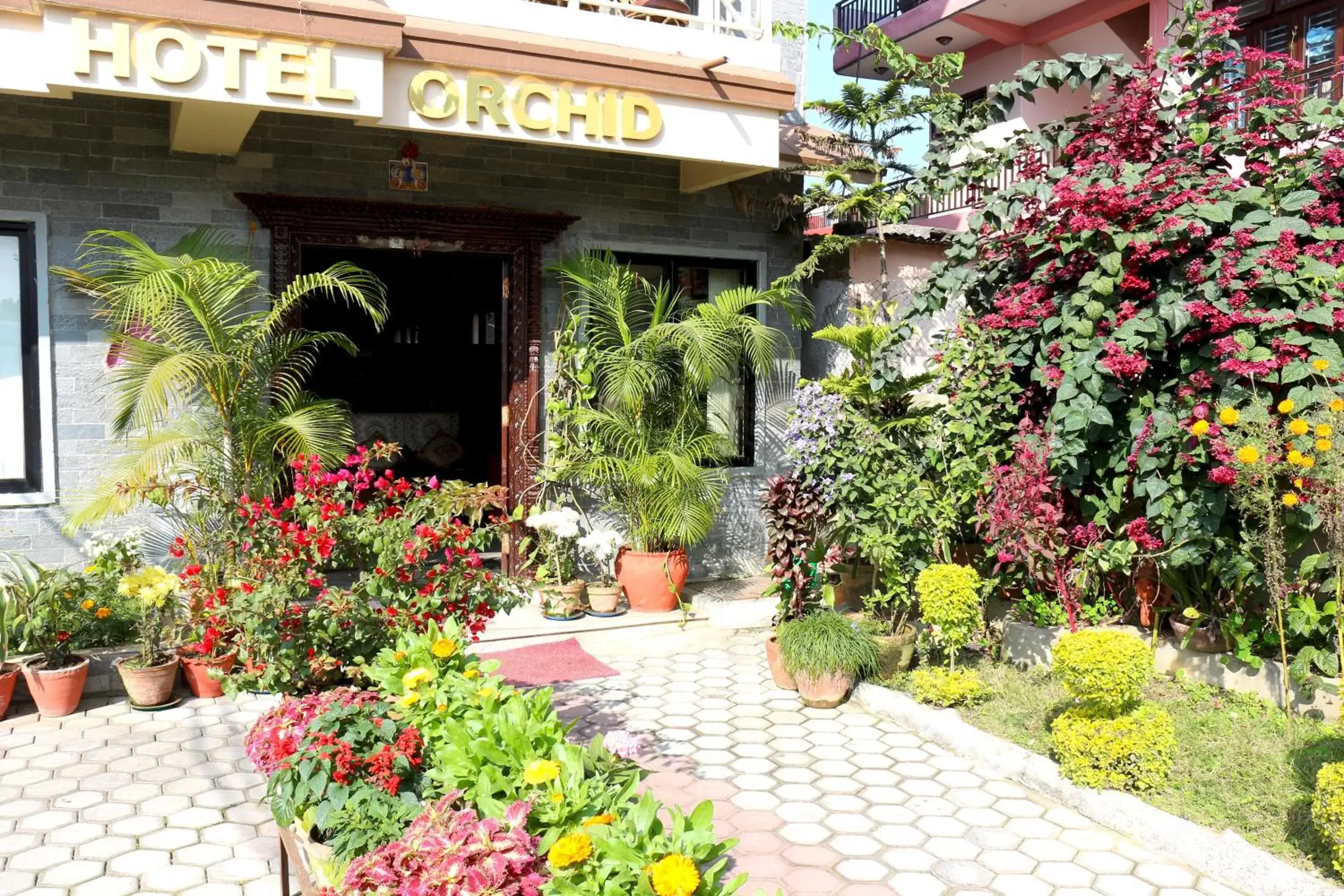 Facade/entrance in Hotel Orchid