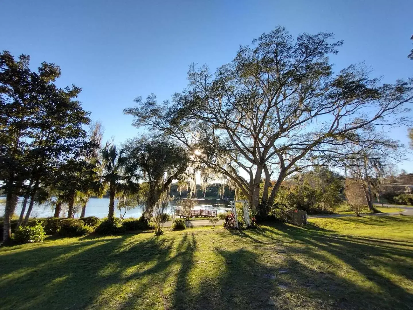 Garden in Cabin On The Lake