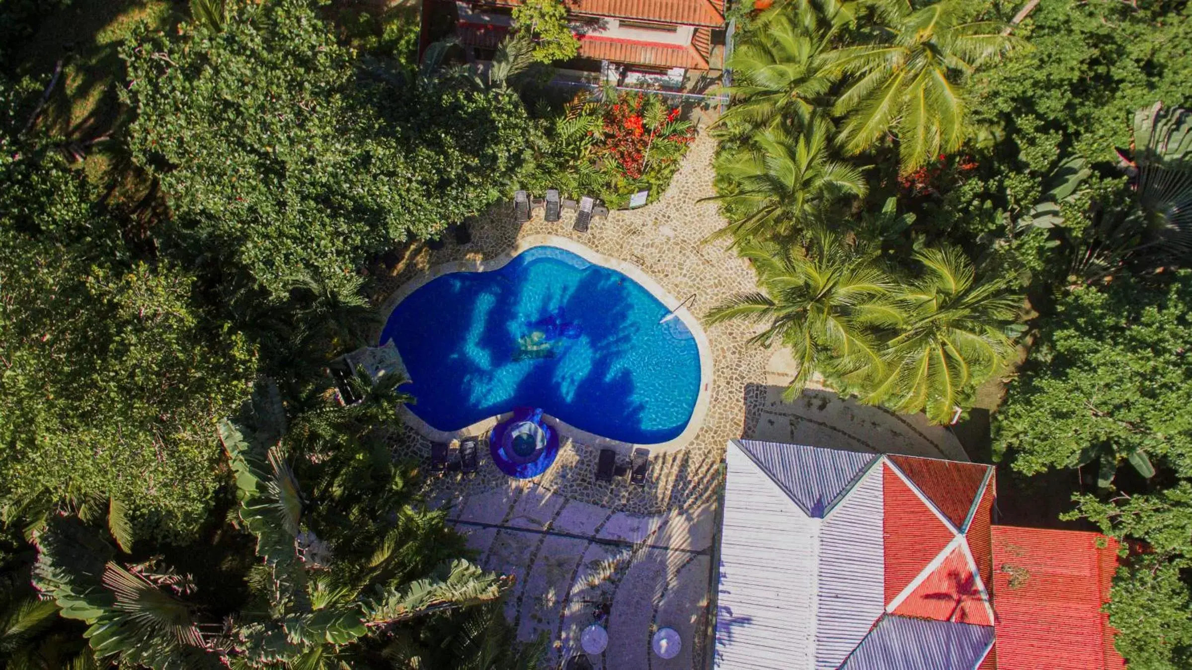 Bird's eye view, Bird's-eye View in Hotel Playa Westfalia