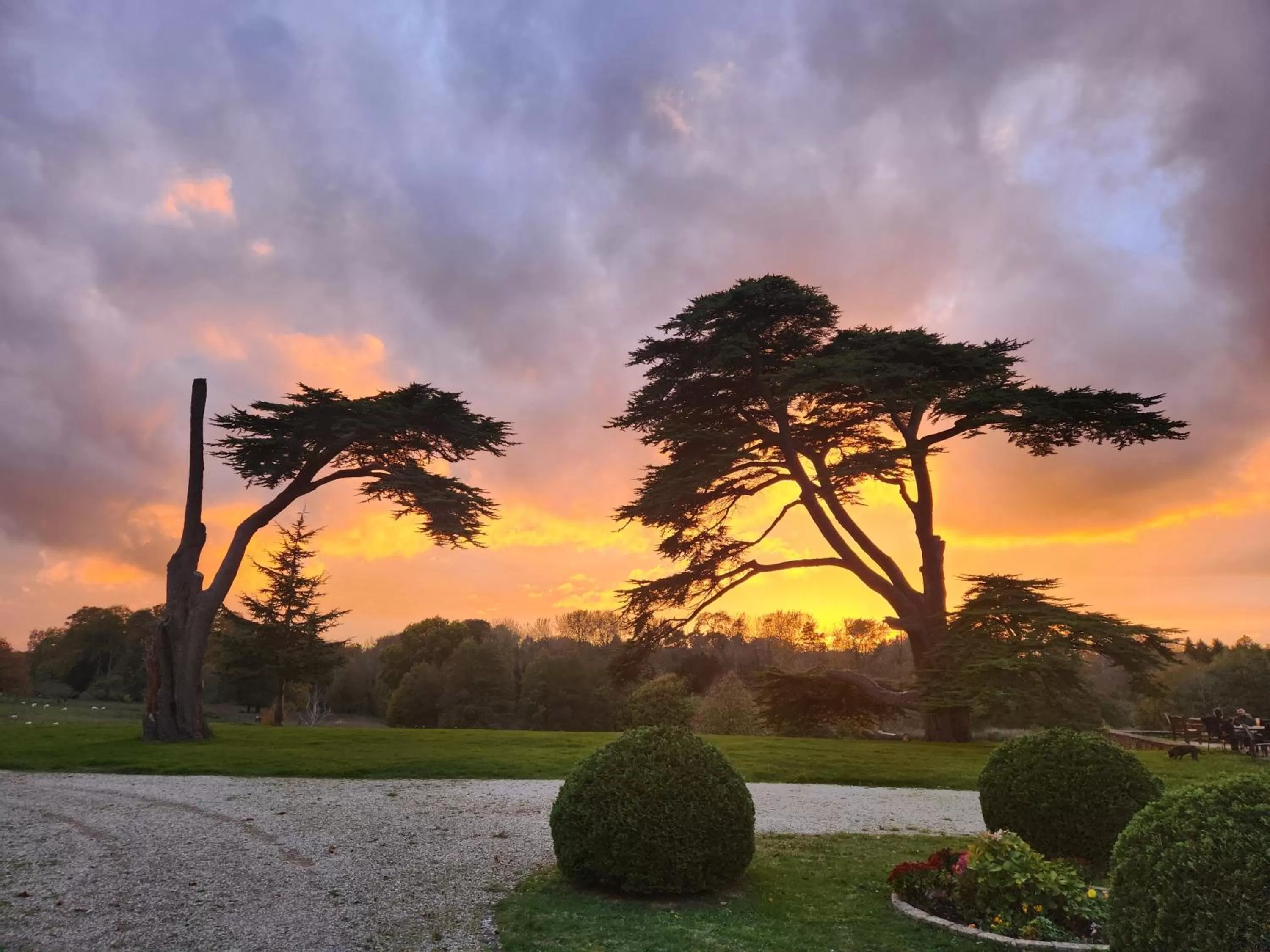 View (from property/room) in Stanton House Hotel