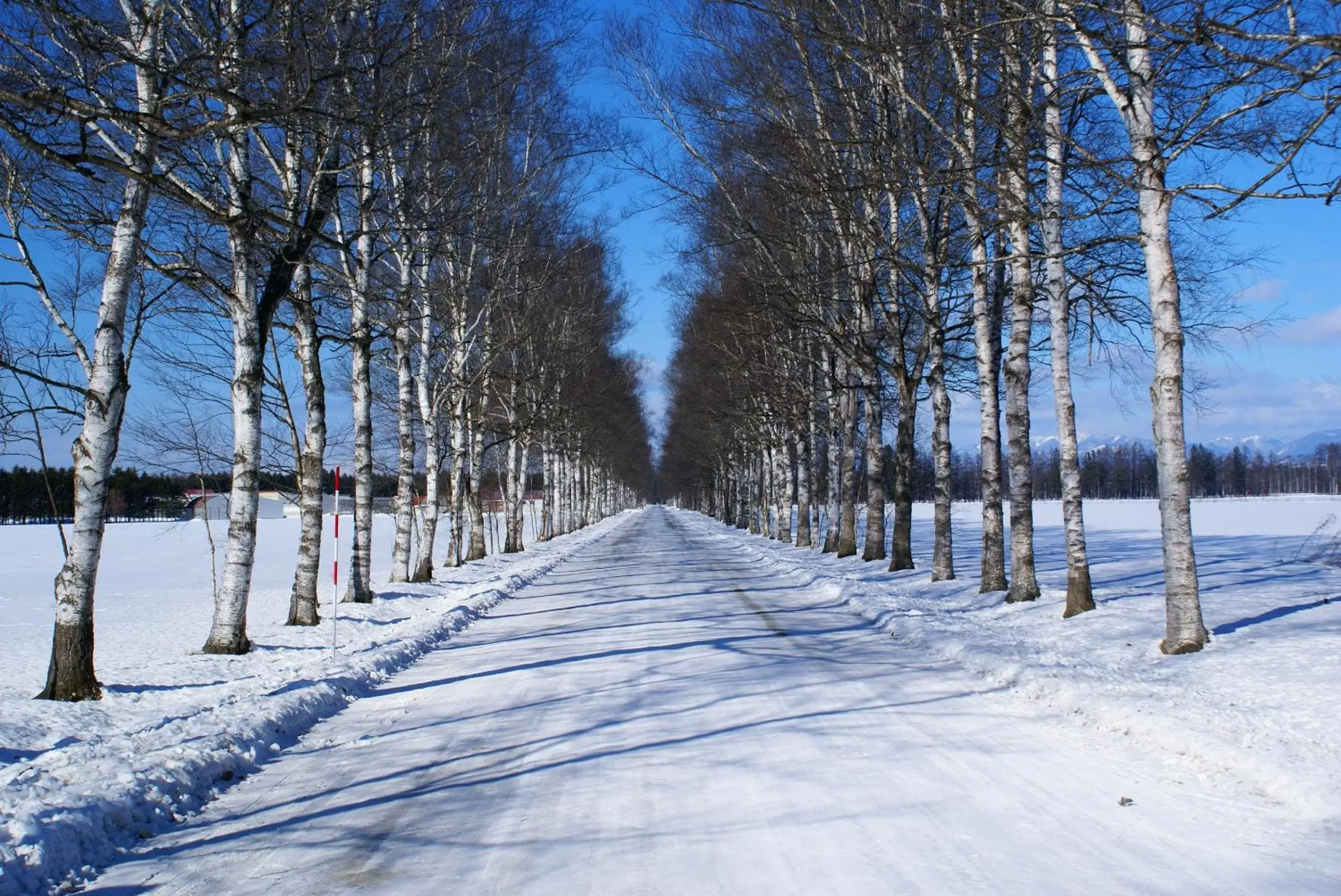 Natural landscape, Winter in Hotel Nikko Northland Obihiro